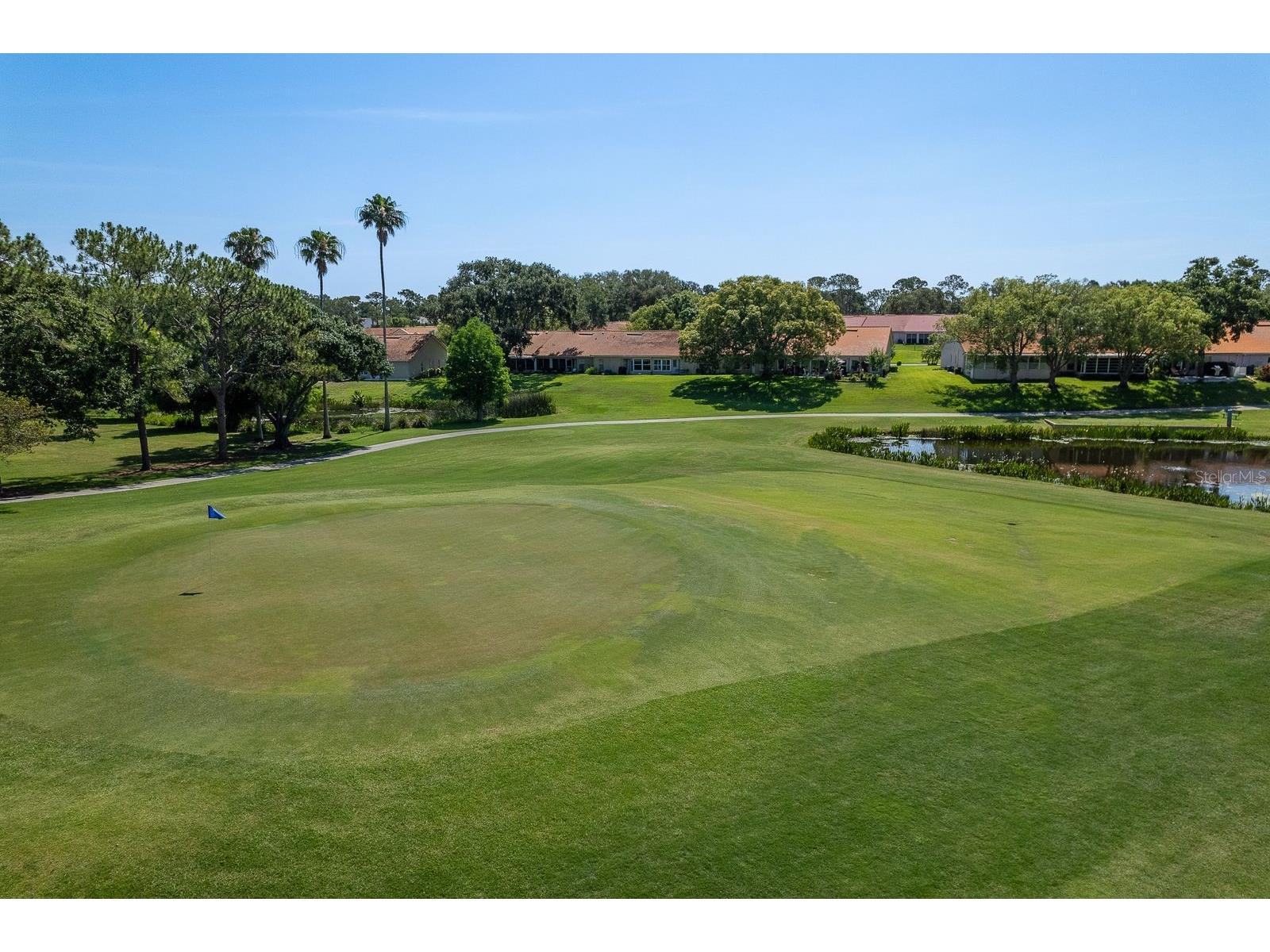 2949 Briar Cliff Drive Palm Harbor FL 34684 TB8455613 image66