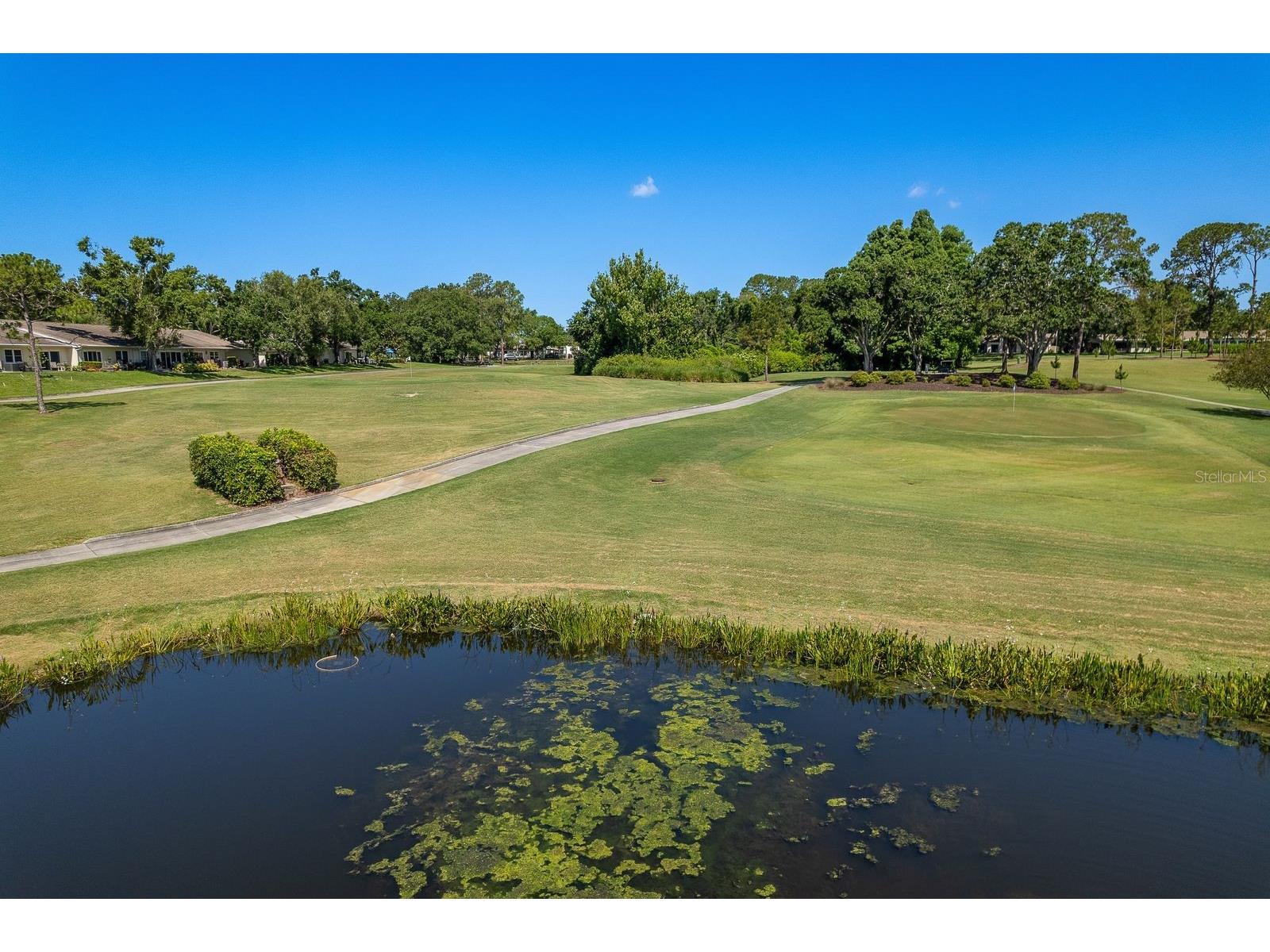 2949 Briar Cliff Drive Palm Harbor FL 34684 TB8455613 image67