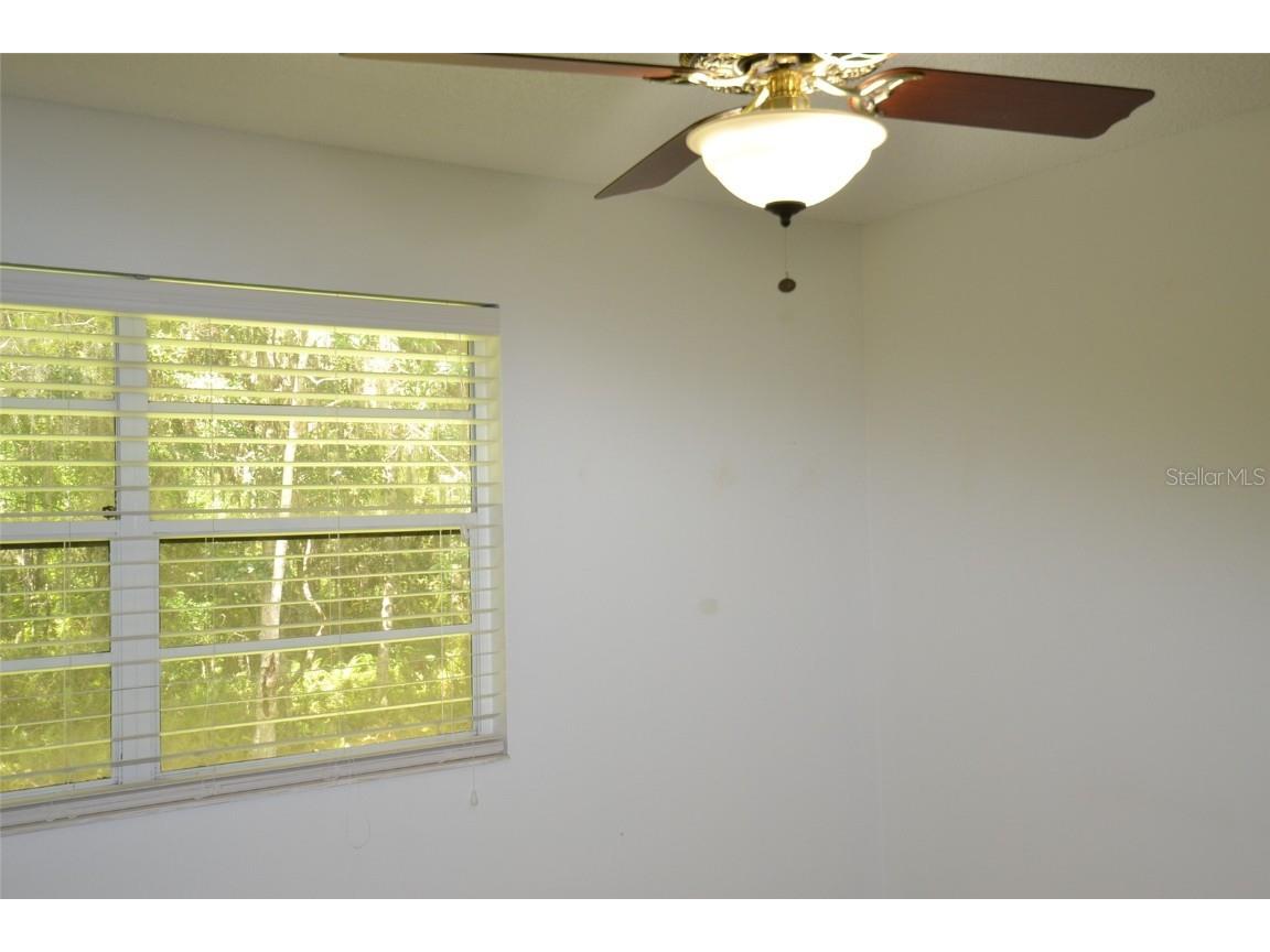 2949 Buttonbush Court Palm Harbor FL 34684 TB8452294 image12