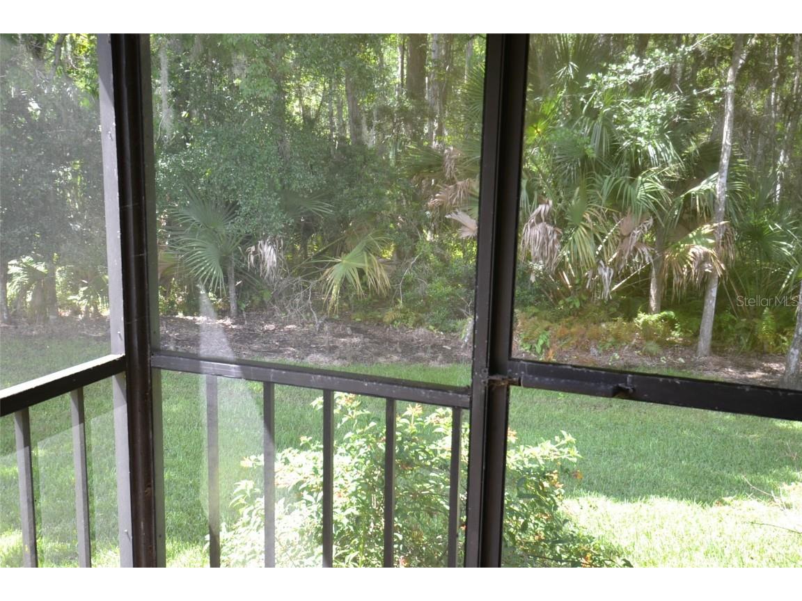 2949 Buttonbush Court Palm Harbor FL 34684 TB8452294 image21