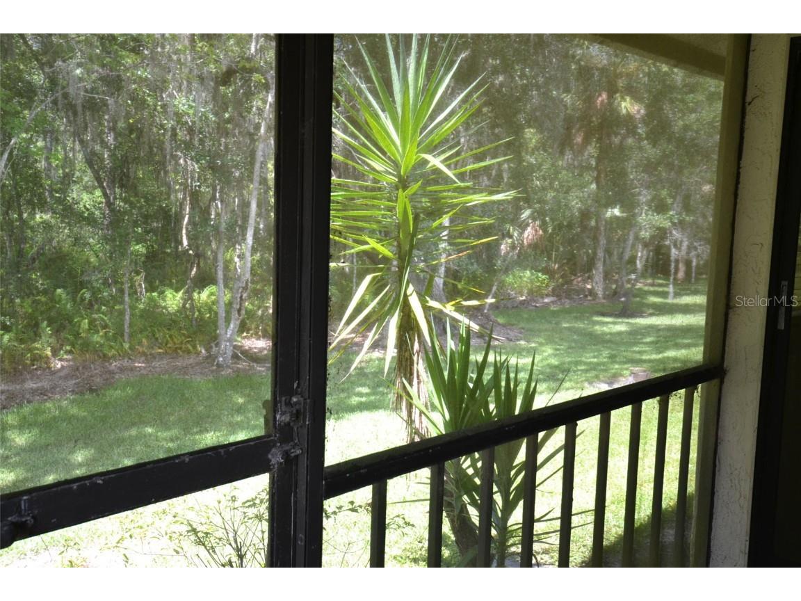 2949 Buttonbush Court Palm Harbor FL 34684 TB8452294 image22