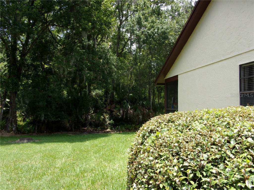 2949 Buttonbush Court Palm Harbor FL 34684 TB8452294 image25