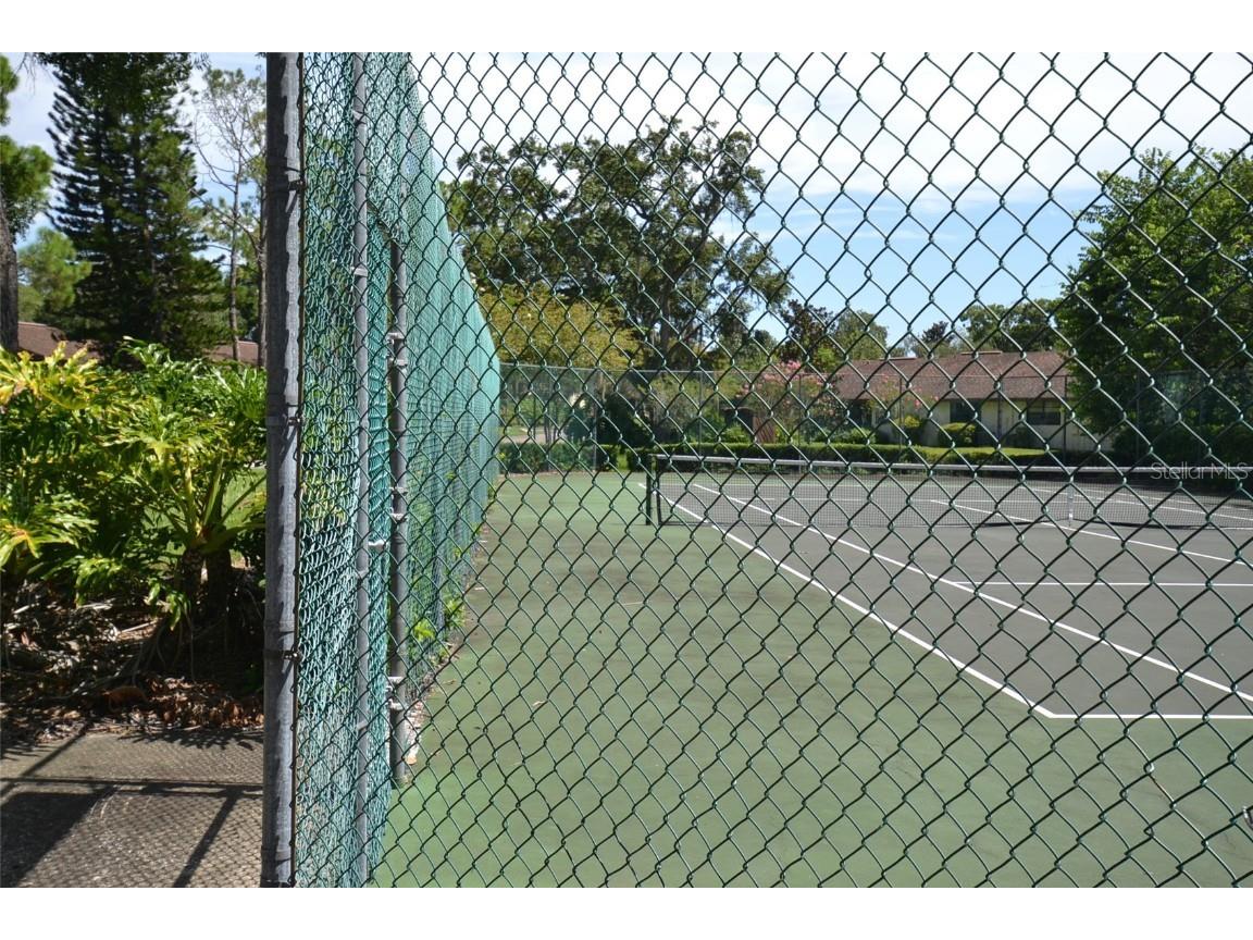 2949 Buttonbush Court Palm Harbor FL 34684 TB8452294 image29