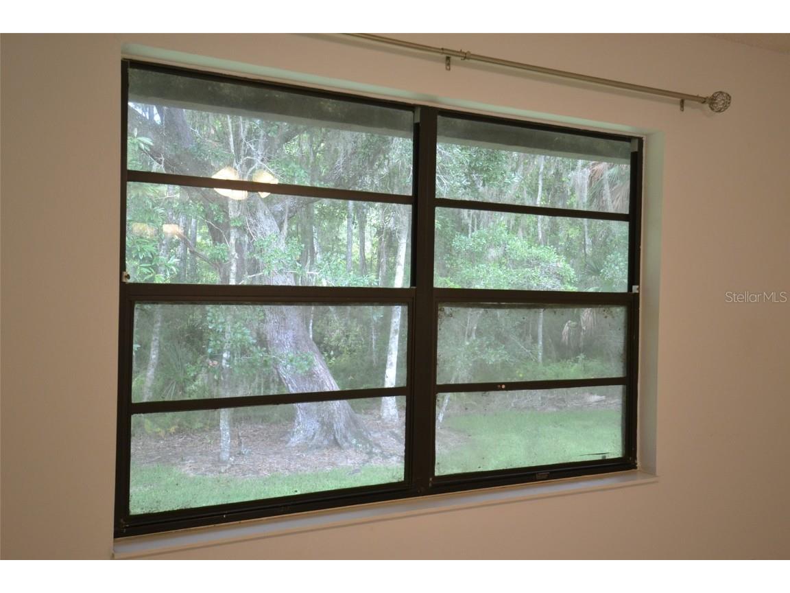 2949 Buttonbush Court Palm Harbor FL 34684 TB8452294 image6