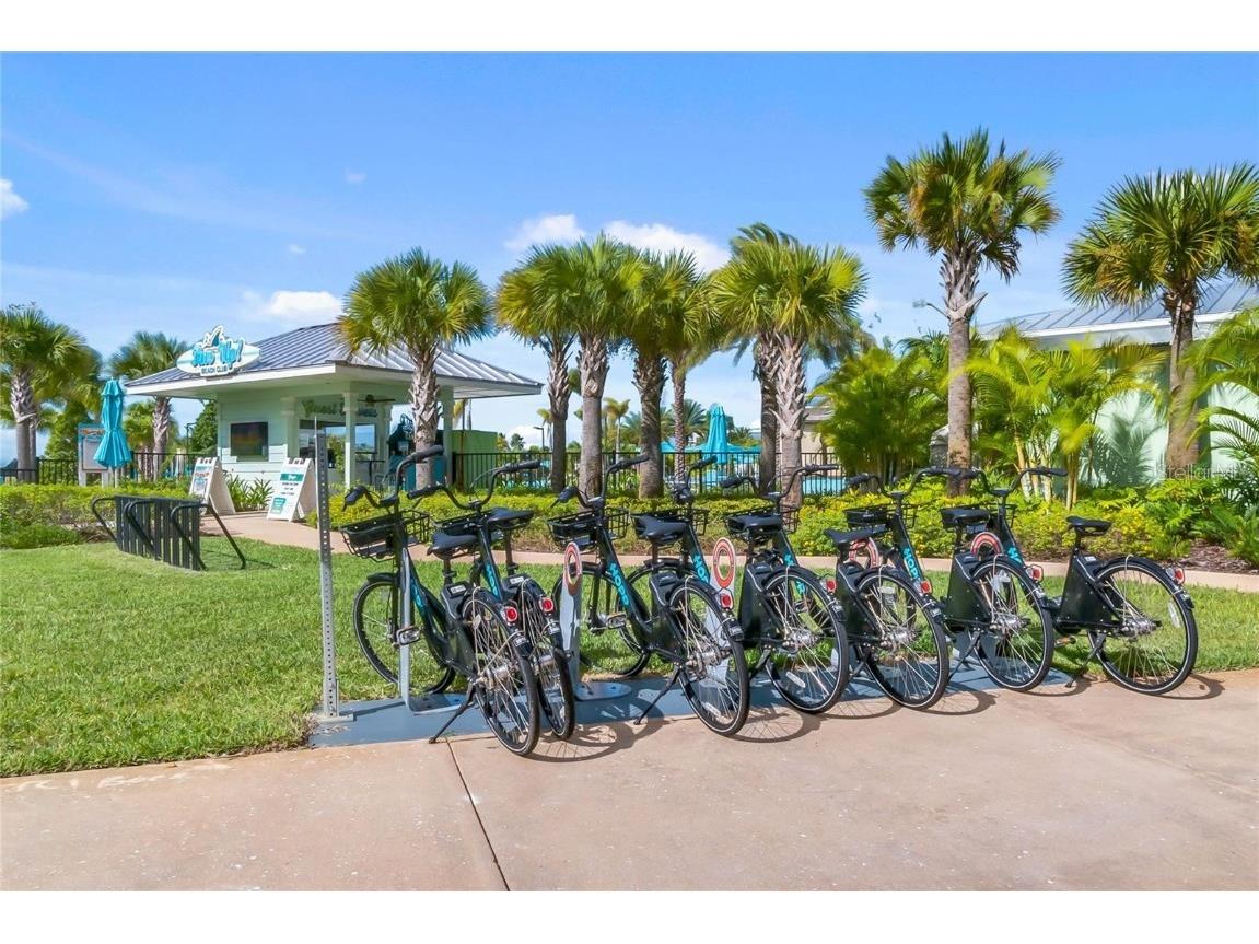 2949 Caribbean Soul Drive Kissimmee FL 34747 O6352942 image71