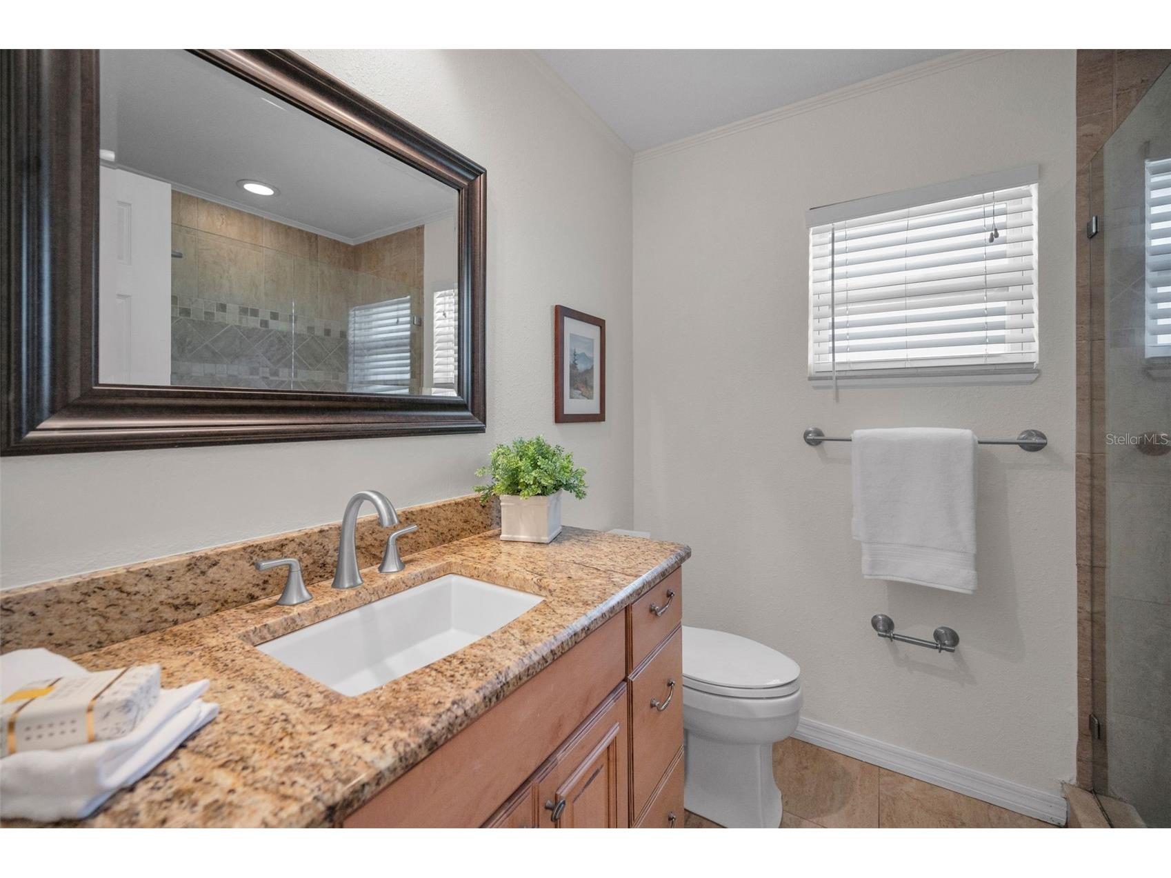 2949 Glenpark Road Palm Harbor FL 34683 TB8459644 image38