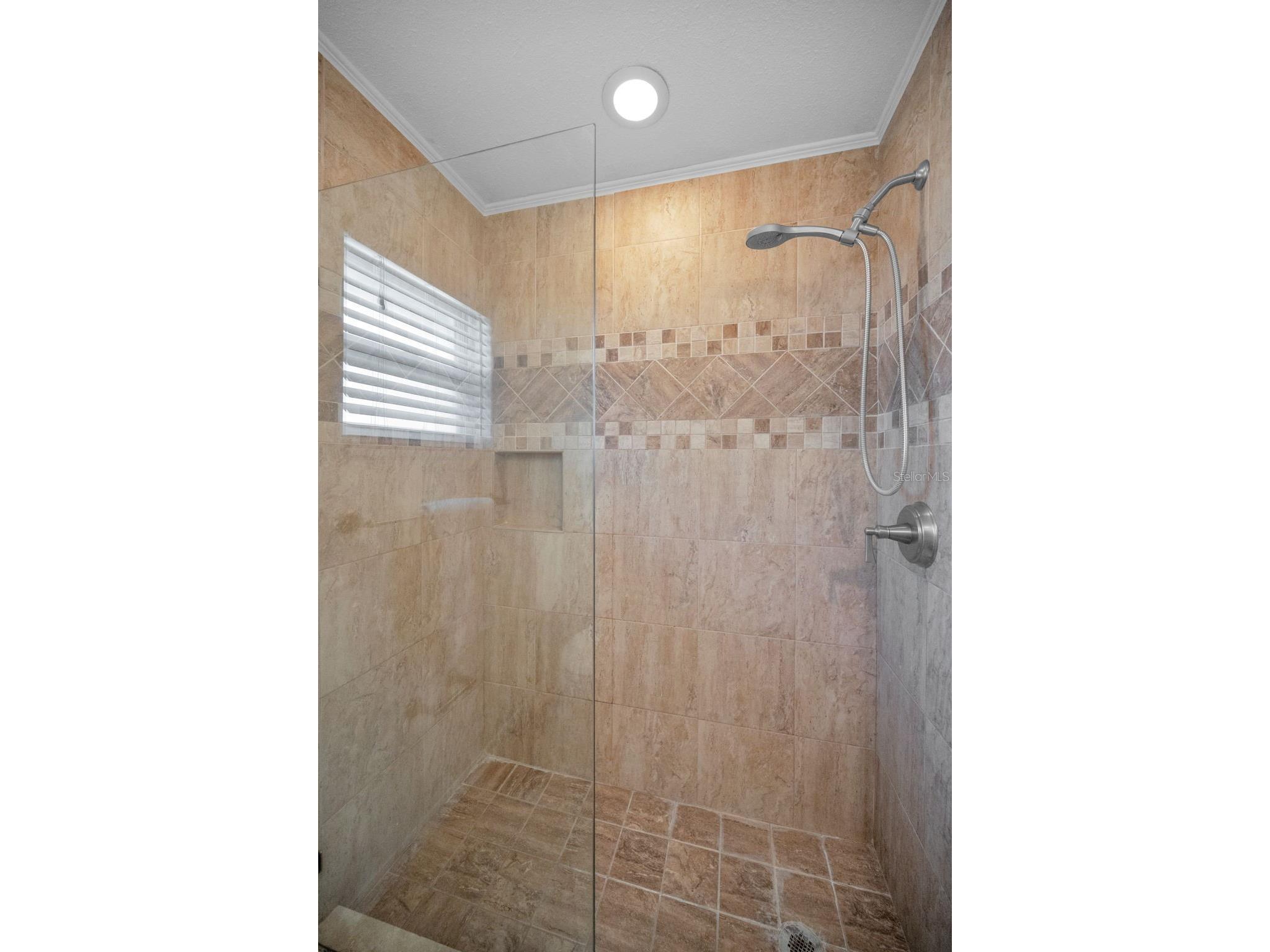 2949 Glenpark Road Palm Harbor FL 34683 TB8459644 image39