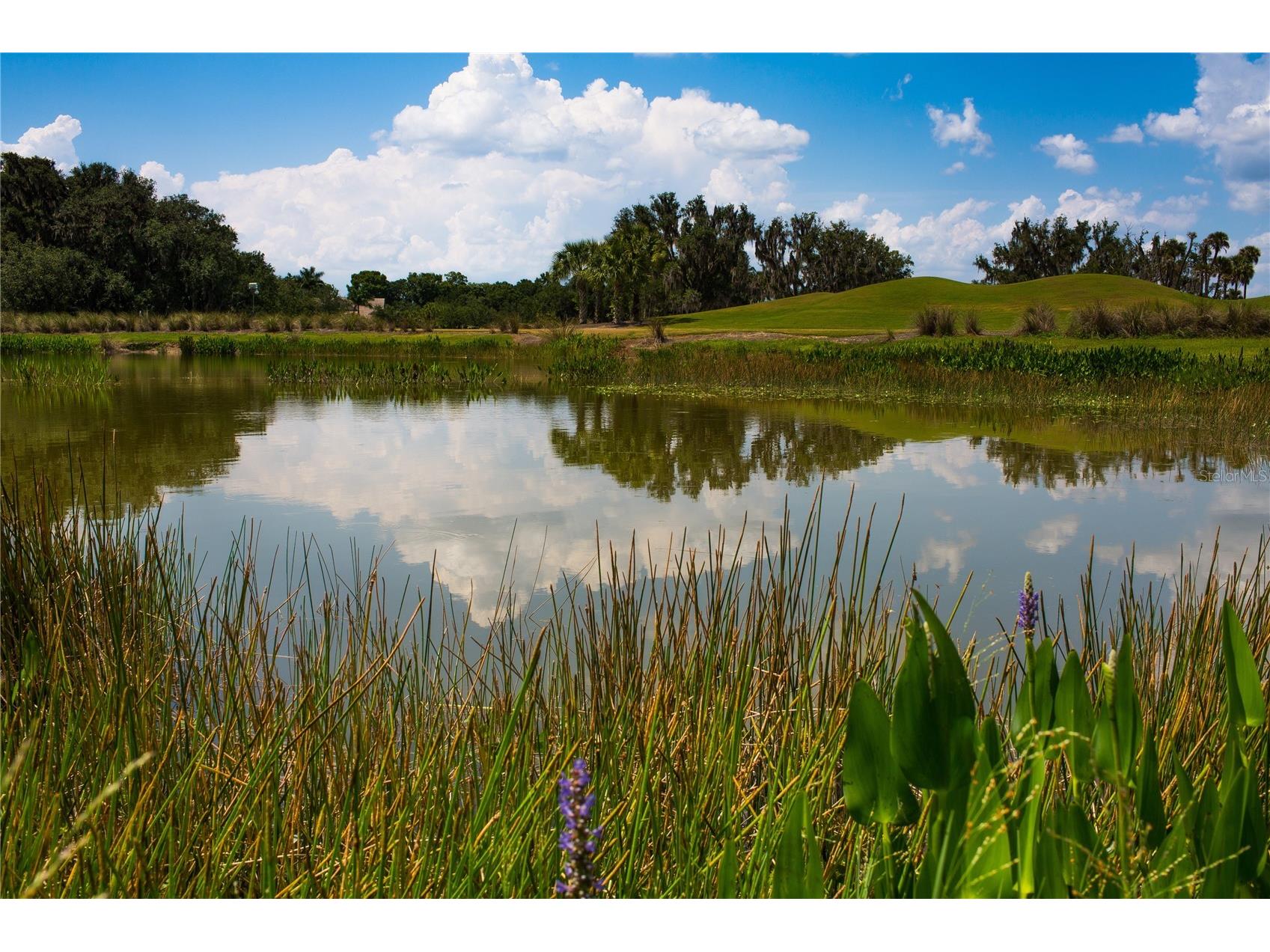 2949 Heritage Pines Drive Fort Myers FL 33905 TB8519267 image13