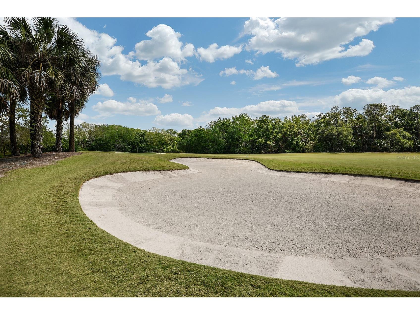 2949 Heritage Pines Drive Fort Myers FL 33905 TB8519267 image36