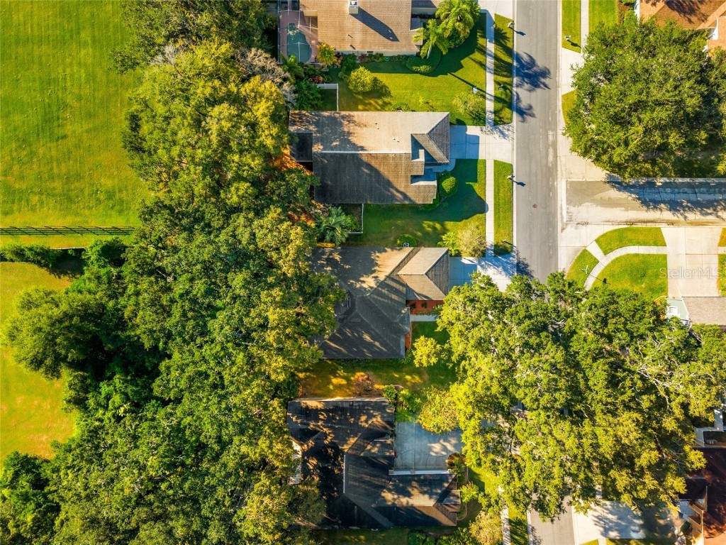 2949 Minuteman Lane Brandon FL 33511 TB8438713 image39