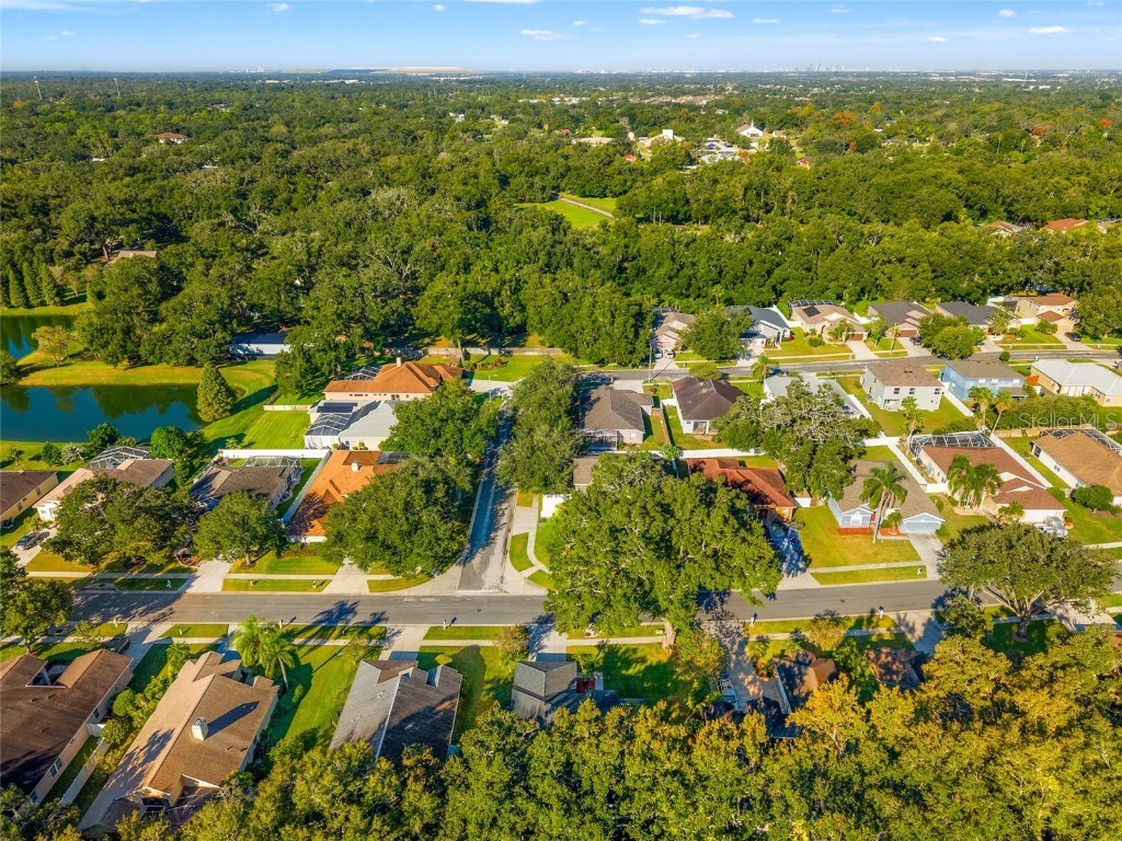 2949 Minuteman Lane Brandon FL 33511 TB8438713 image40