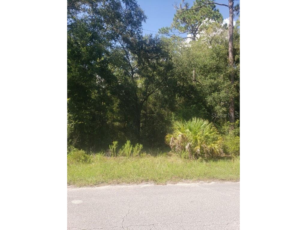 2949 W Grapevine Court Dunnellon FL 34433 OM691094 image1