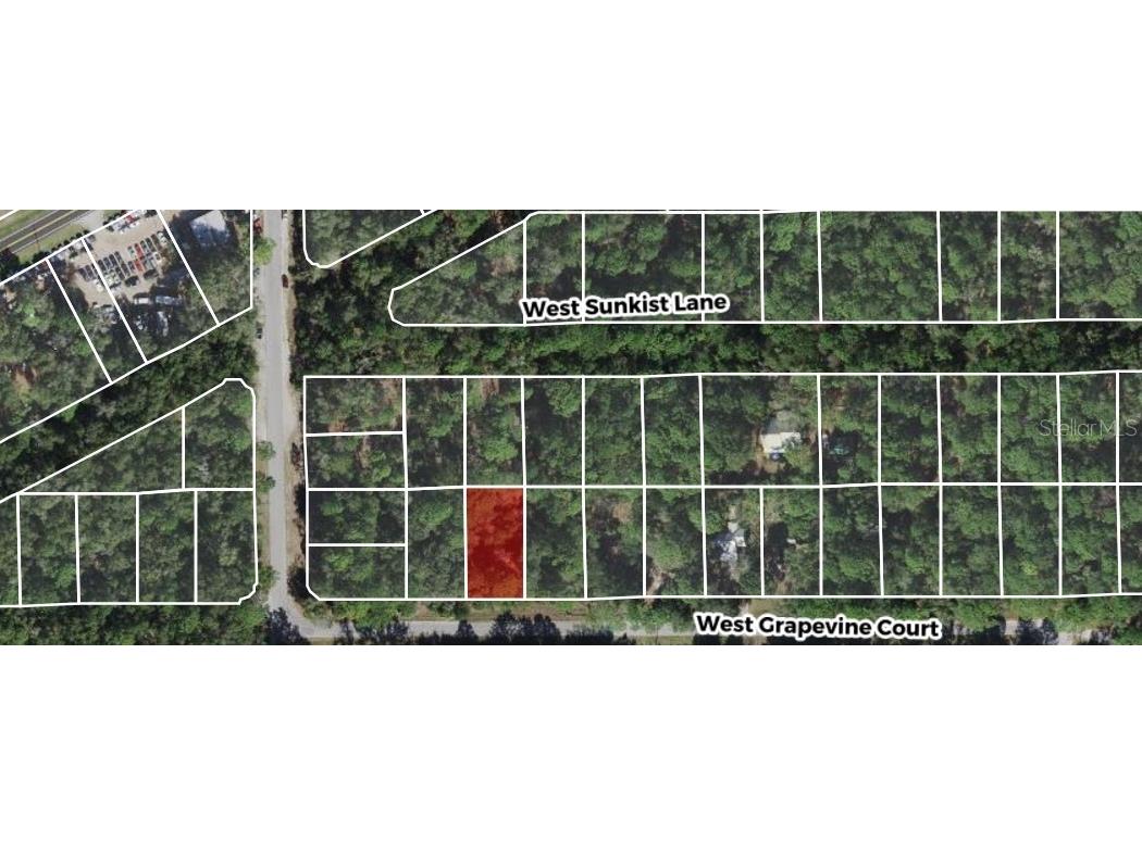 2949 W Grapevine Court Dunnellon FL 34433 OM724075 image2
