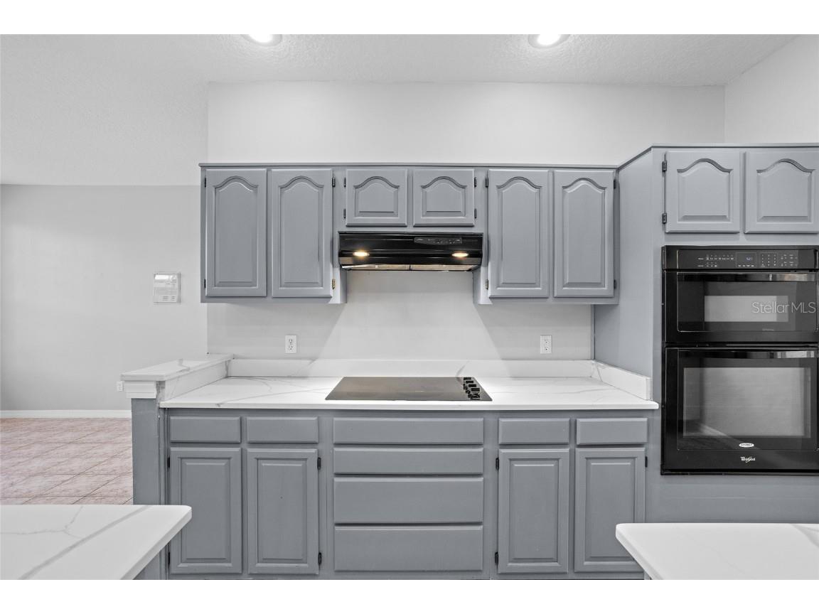 2949 Zaharias Drive Orlando FL 32837 O6342933 image38