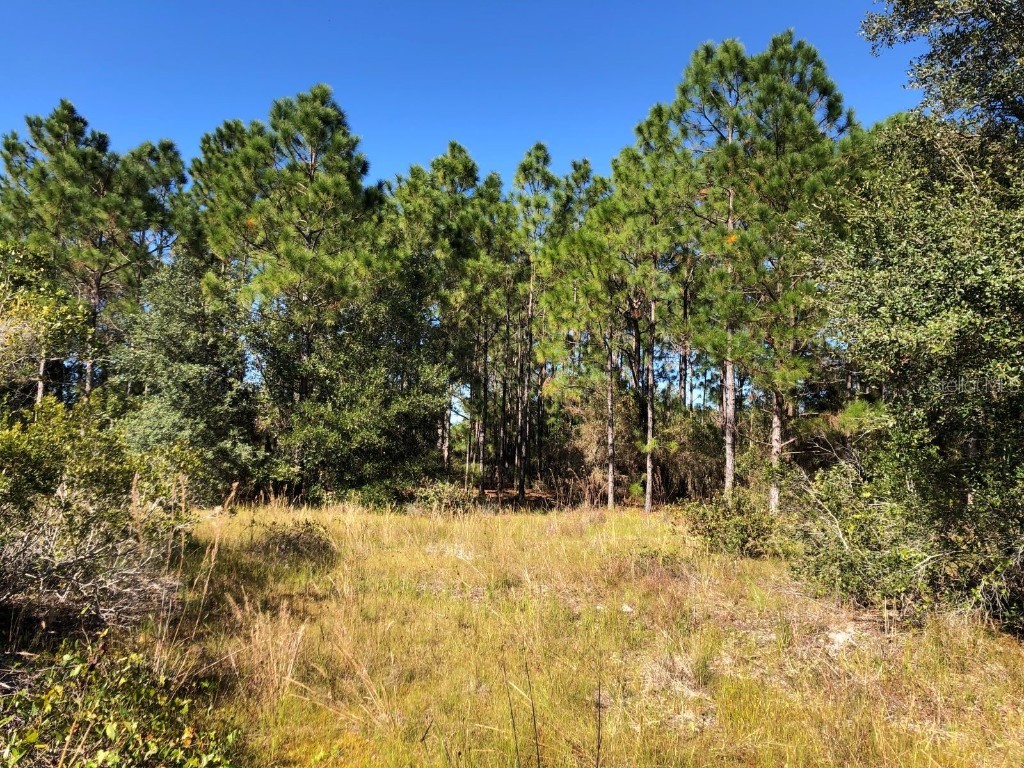 29493 Poplar Drive Punta Gorda FL 33982 A4561282 image1