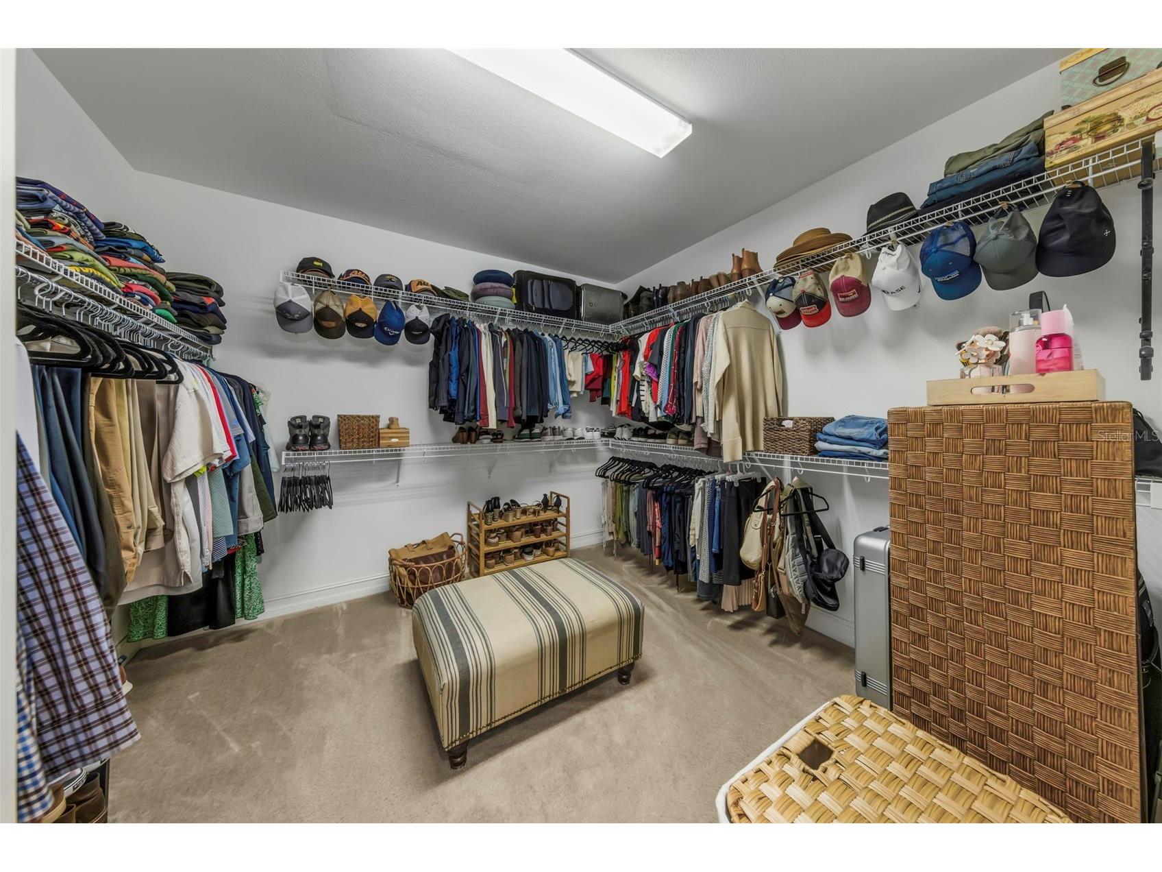 29494 Picana Lane Wesley Chapel FL 33543 TB8483977 image28
