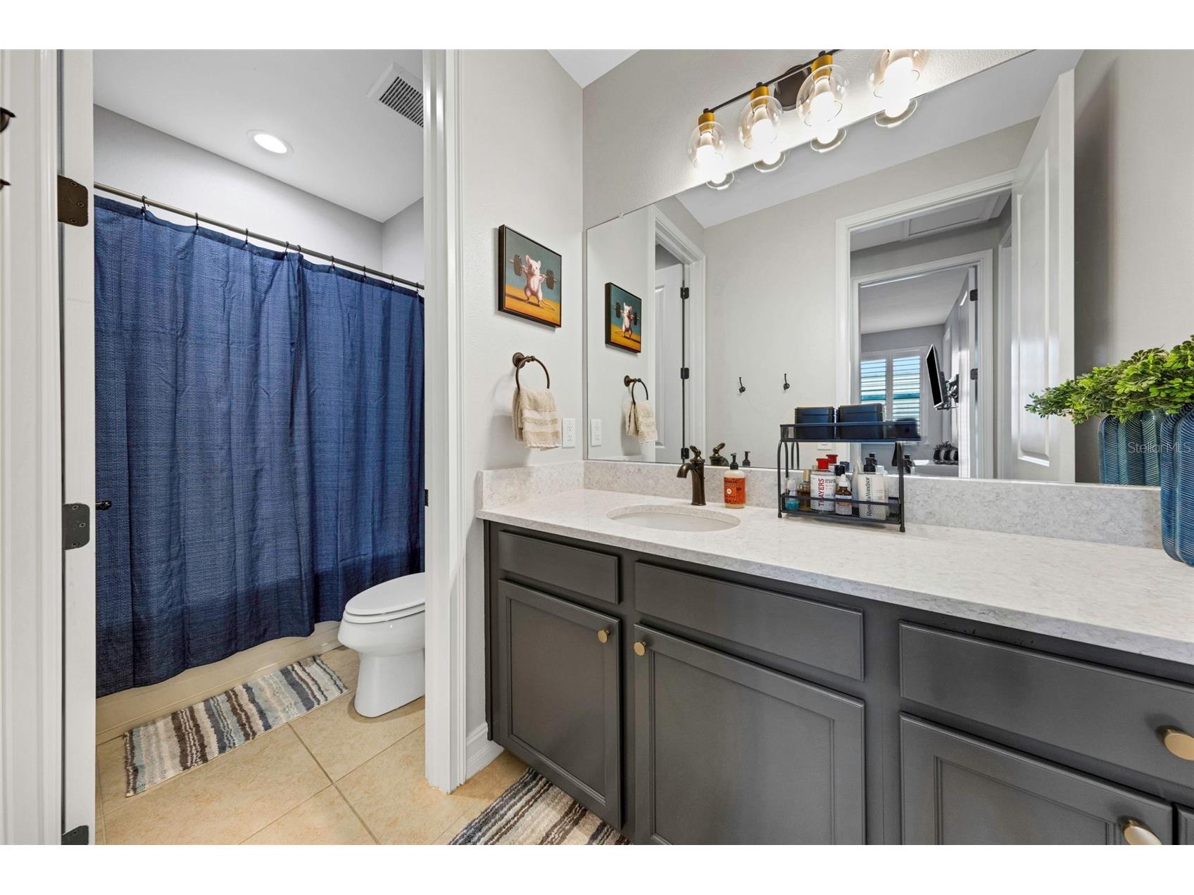 29494 Picana Lane Wesley Chapel FL 33543 TB8483977 image33