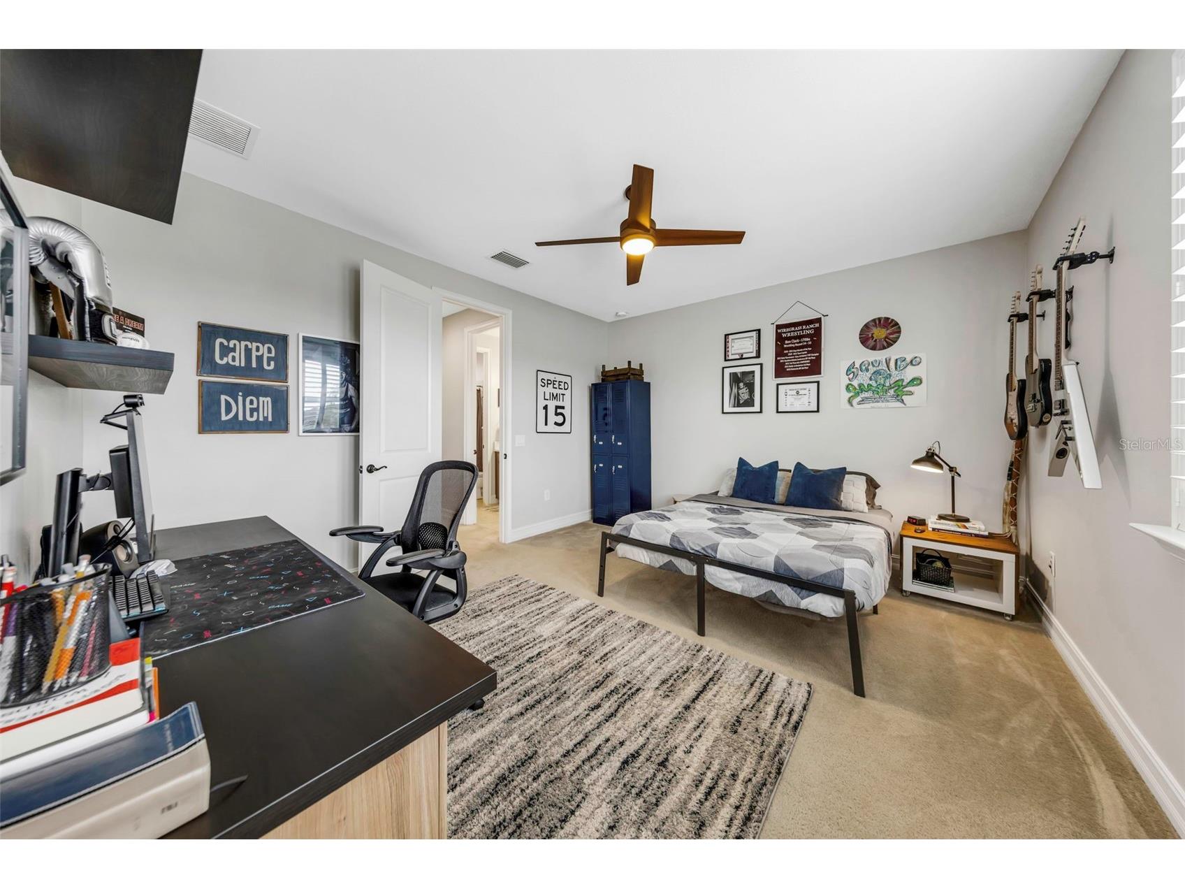 29494 Picana Lane Wesley Chapel FL 33543 TB8483977 image37