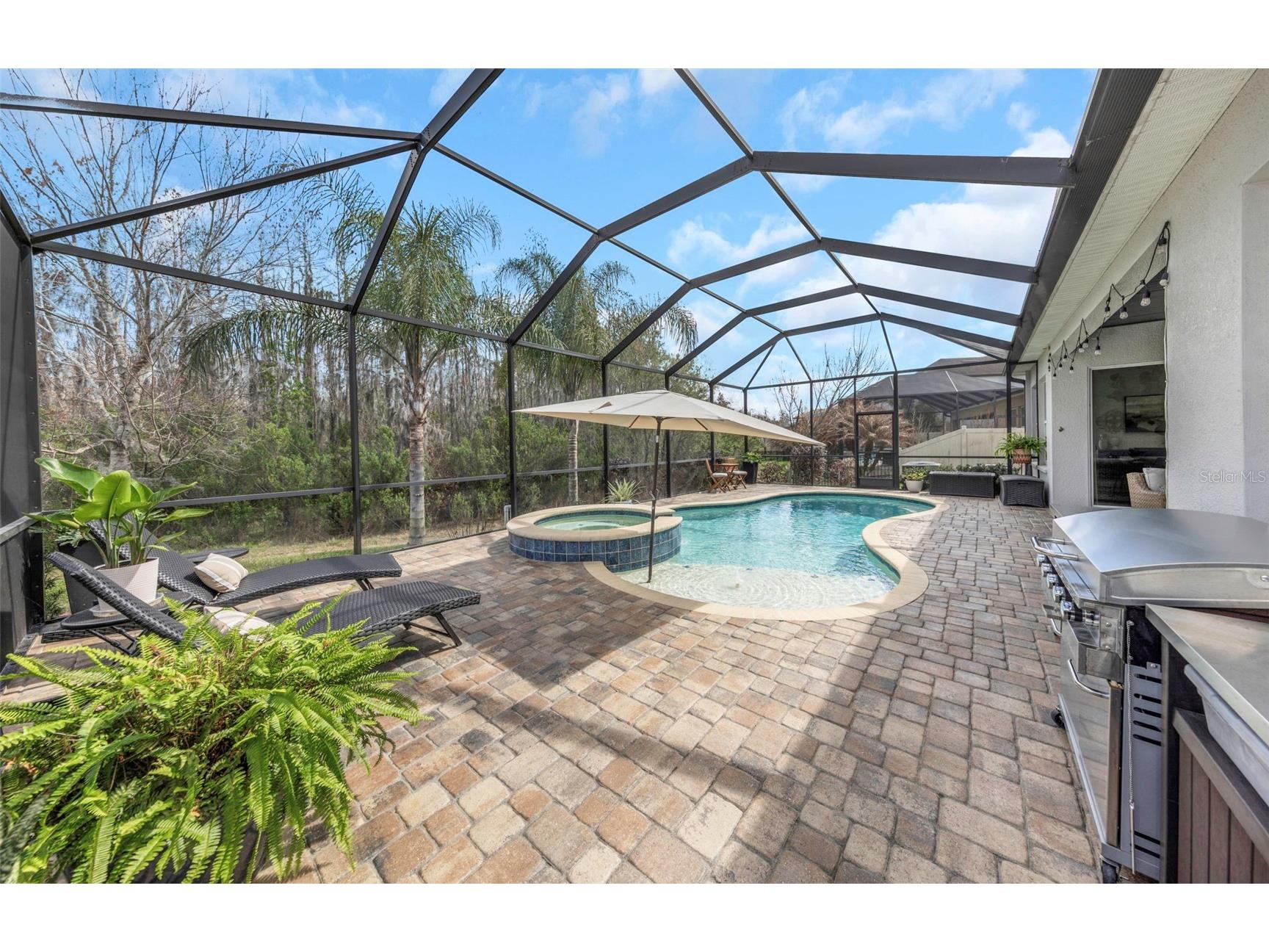 29494 Picana Lane Wesley Chapel FL 33543 TB8483977 image41