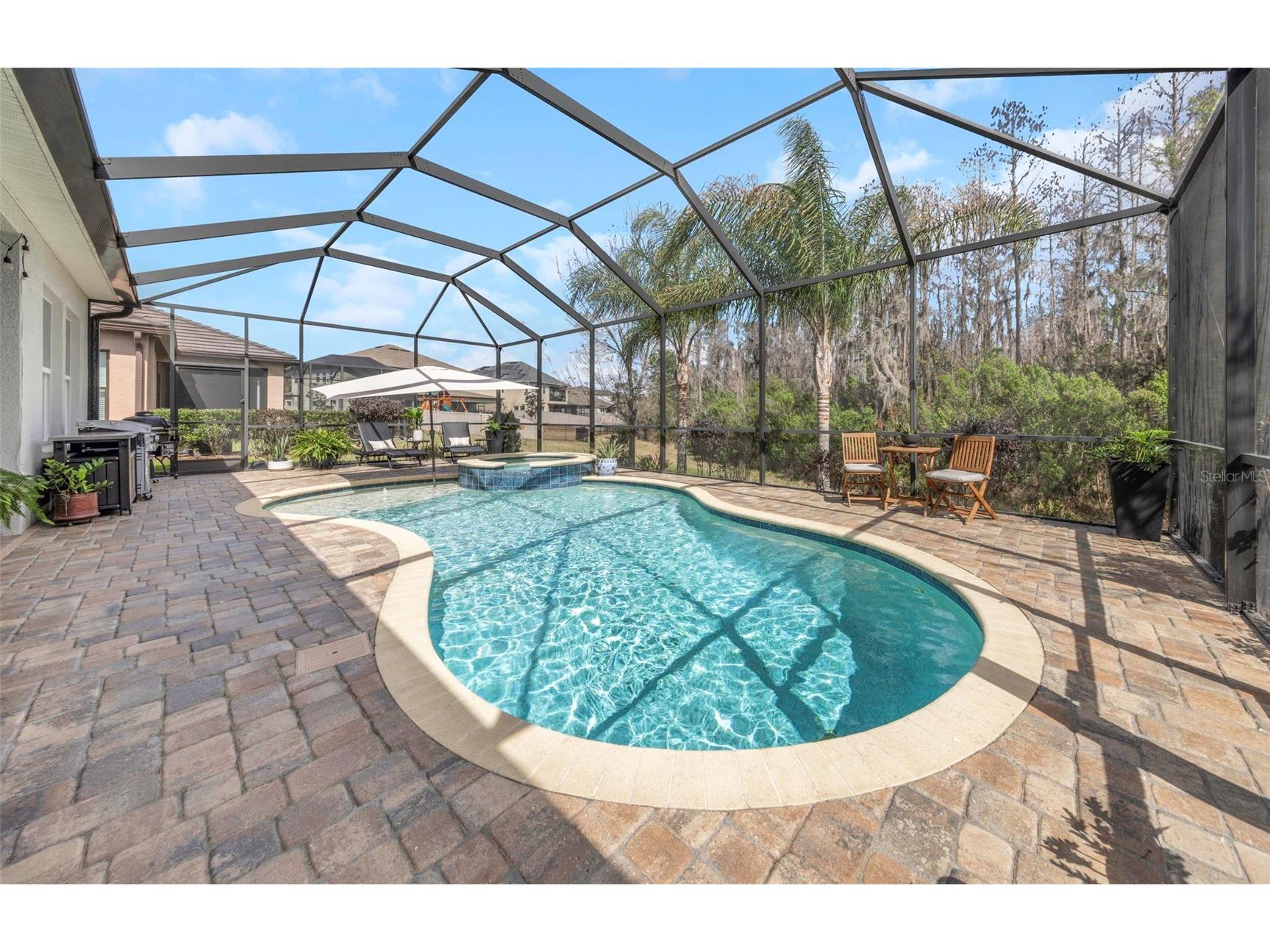 29494 Picana Lane Wesley Chapel FL 33543 TB8483977 image42