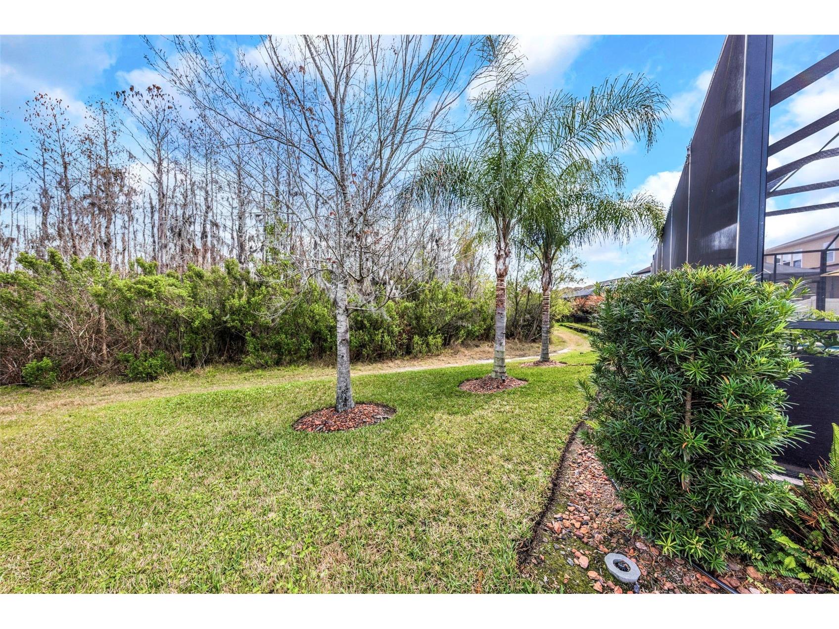 29494 Picana Lane Wesley Chapel FL 33543 TB8483977 image43