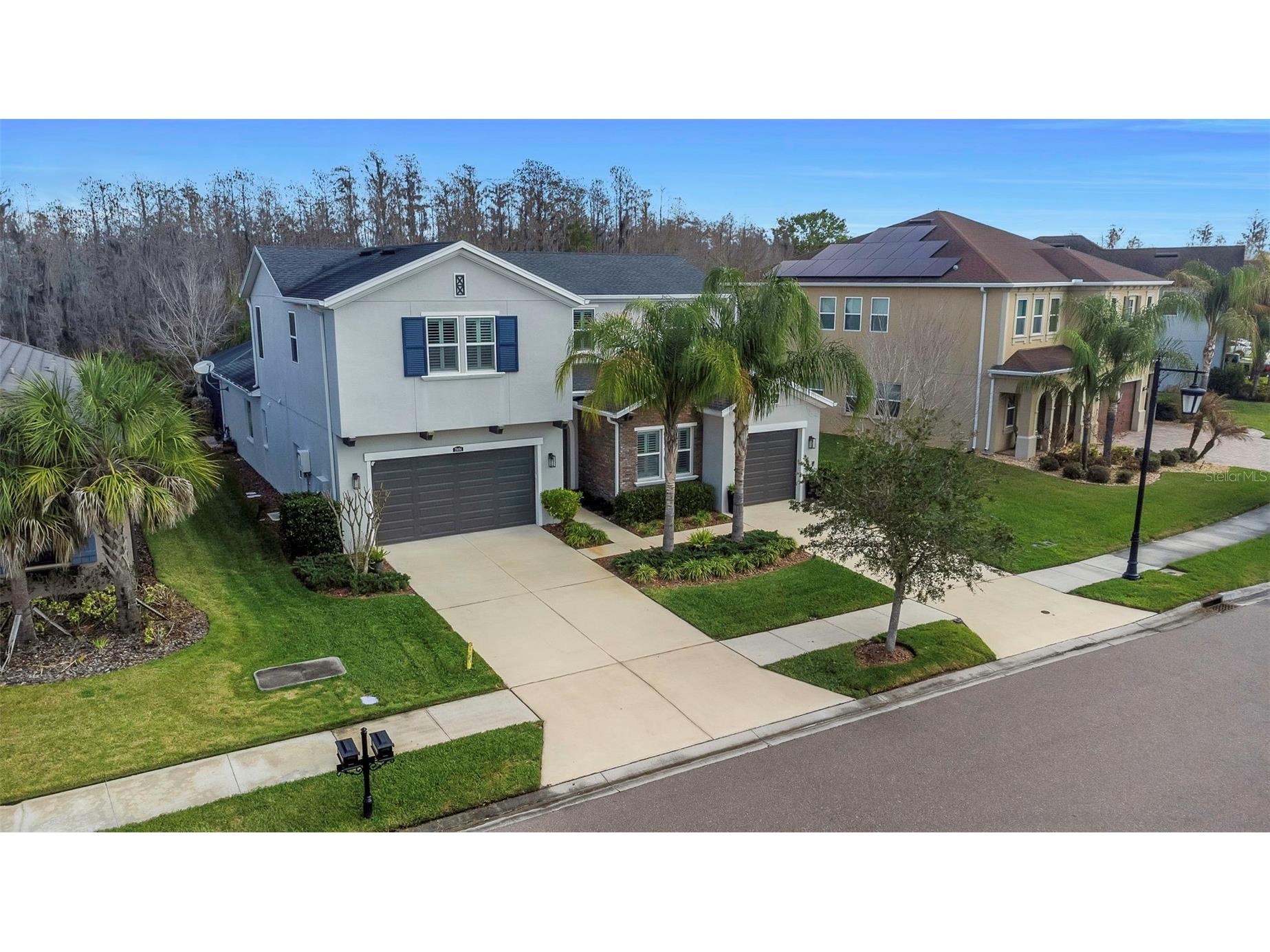 29494 Picana Lane Wesley Chapel FL 33543 TB8483977 image44