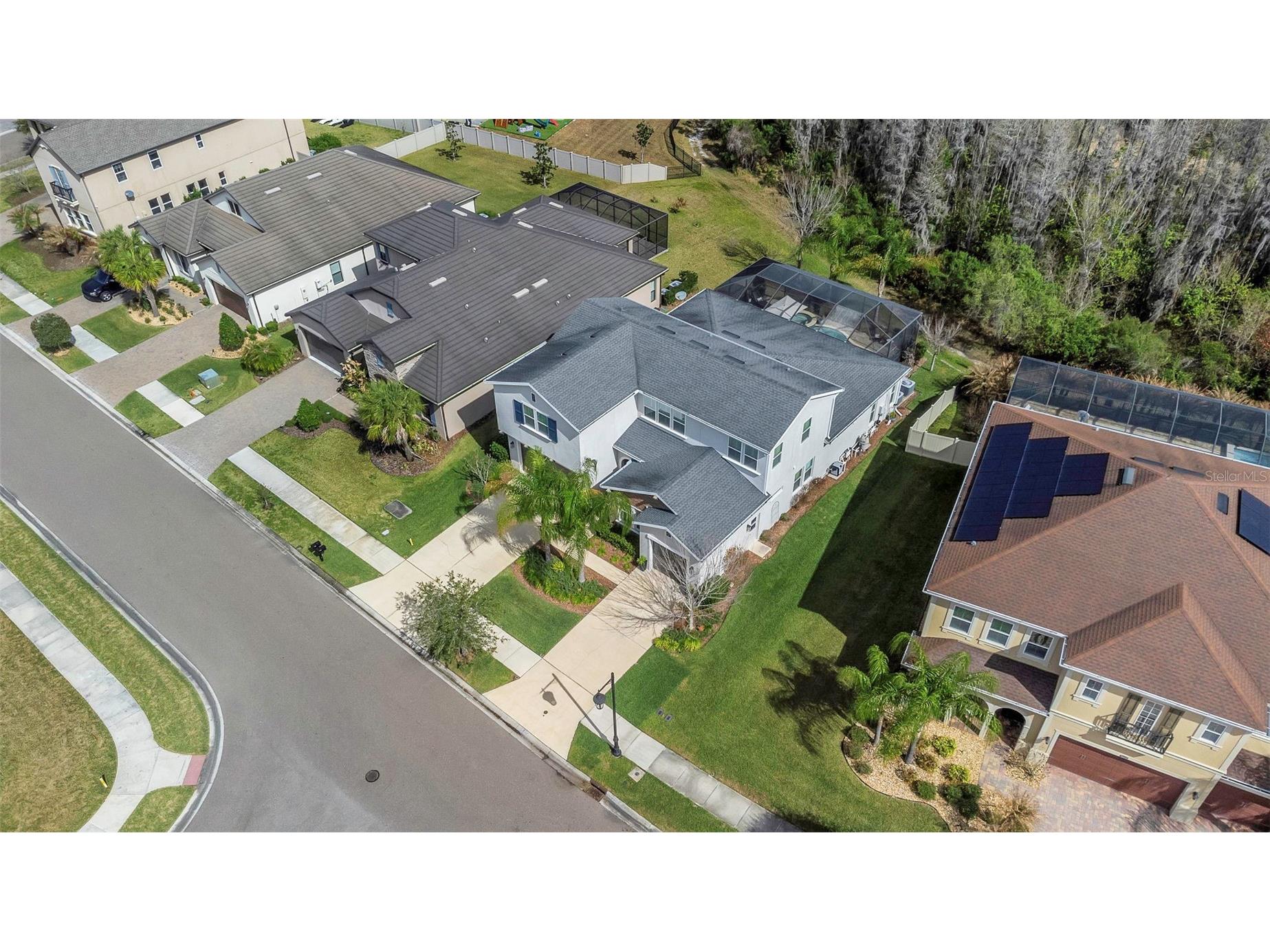 29494 Picana Lane Wesley Chapel FL 33543 TB8483977 image45