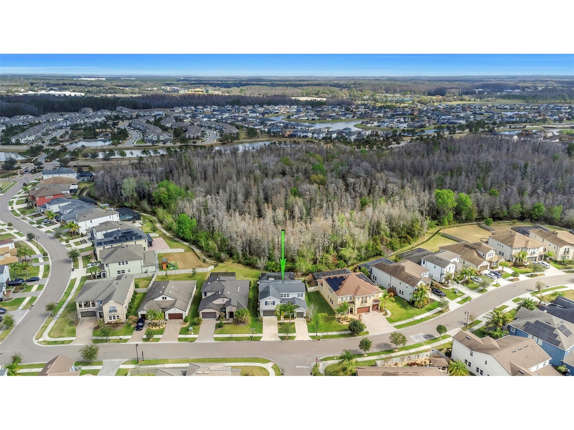 29494 Picana Lane Wesley Chapel FL 33543 TB8483977 image46