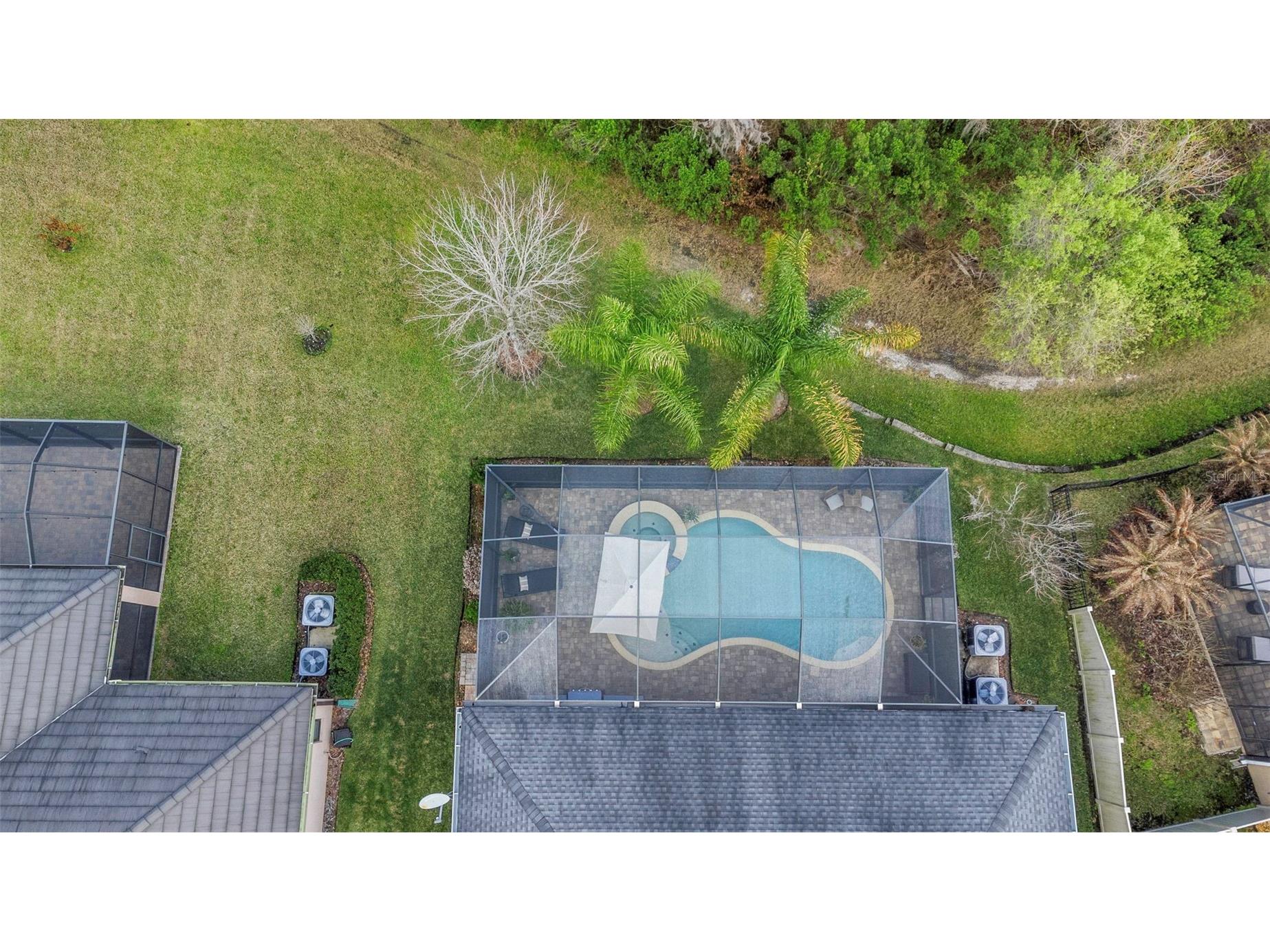 29494 Picana Lane Wesley Chapel FL 33543 TB8483977 image47