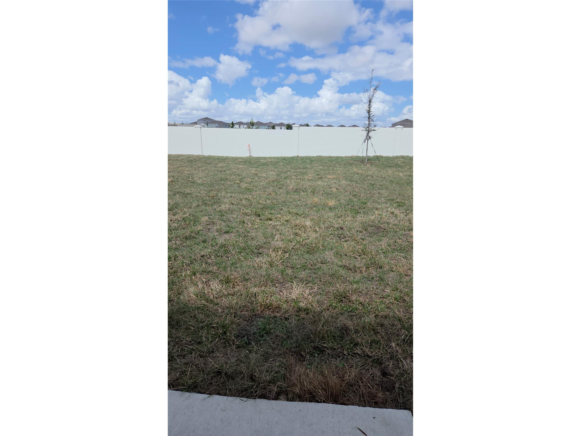 295 Artemis Street Lake Wales FL 33853 S5145750 image8