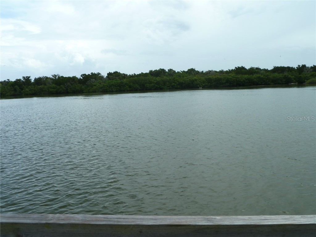 295 E Ariel Road Oak Hill FL 32759 O6273576 image24