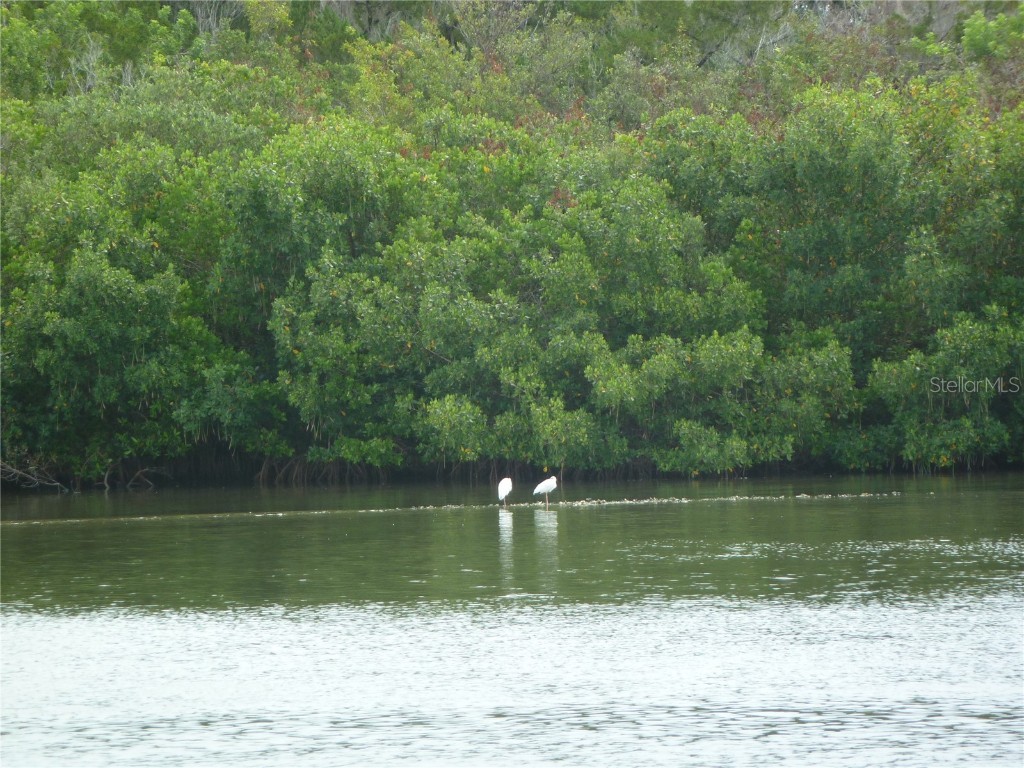 295 E Ariel Road Oak Hill FL 32759 O6273576 image25