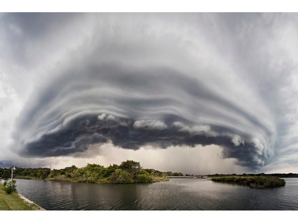 295 E Ariel Road Oak Hill FL 32759 O6273576 image28