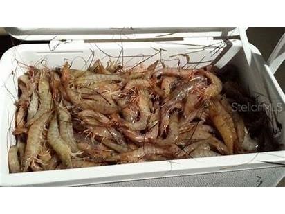 295 E Ariel Road Oak Hill FL 32759 O6273576 image36