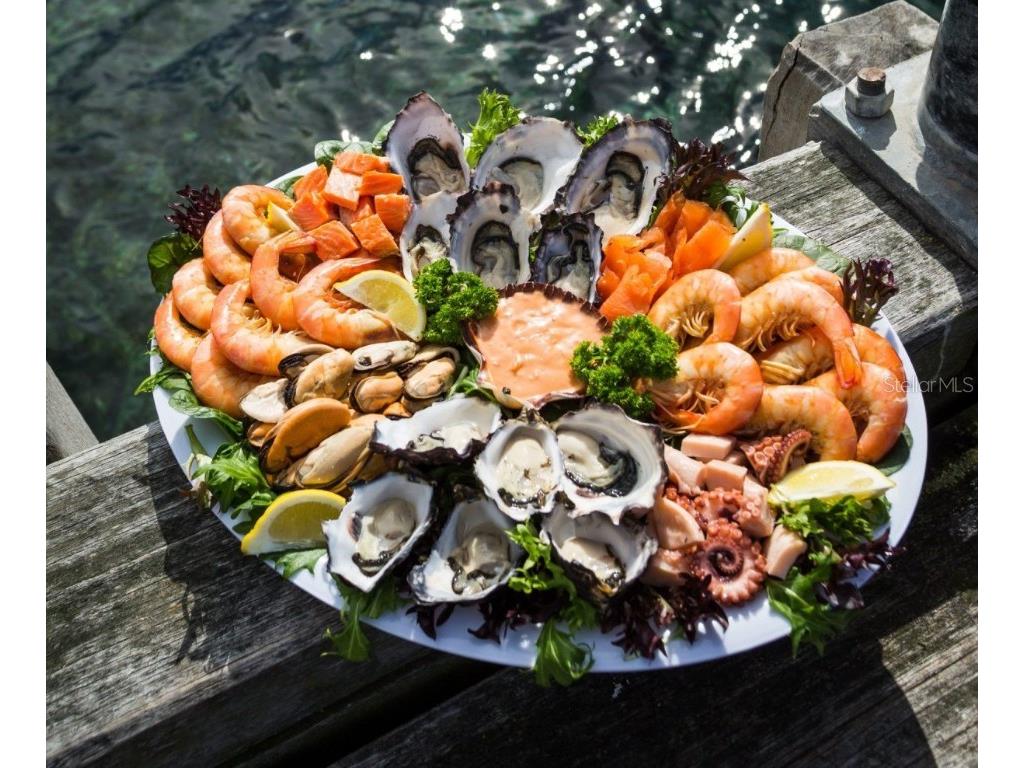 295 E Ariel Road Oak Hill FL 32759 O6273576 image39