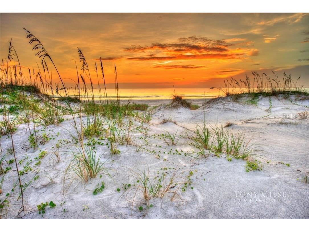 295 E Ariel Road Oak Hill FL 32759 O6273576 image42