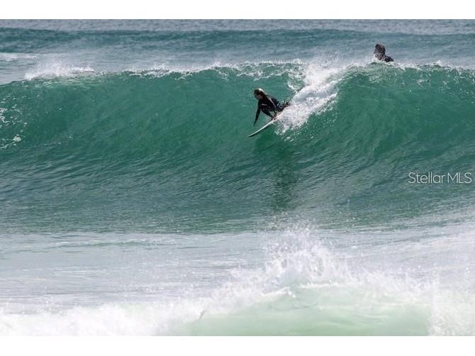 295 E Ariel Road Oak Hill FL 32759 O6273576 image44