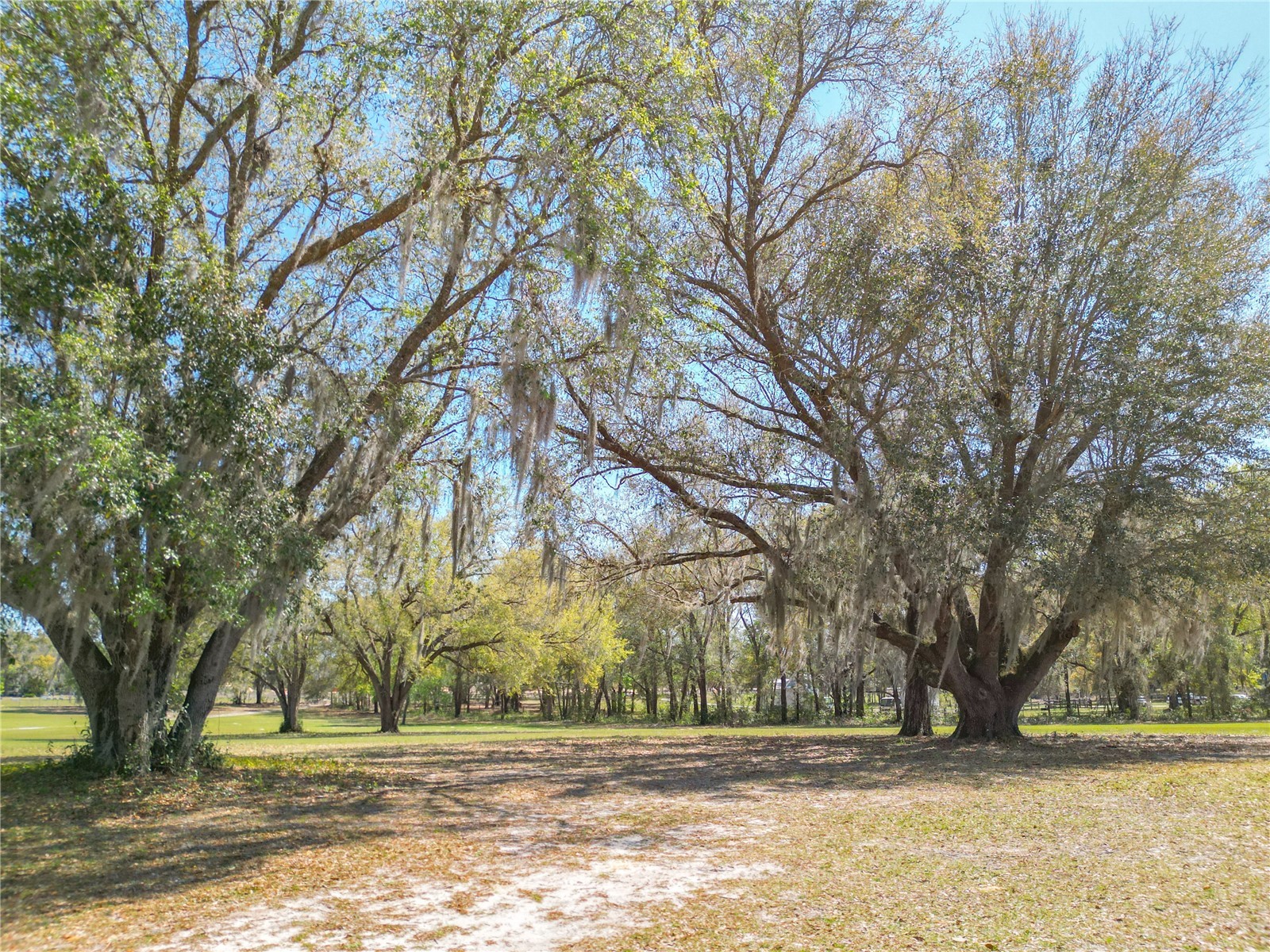 295 Locust Pass Ocala FL 34472 OM719528 image40