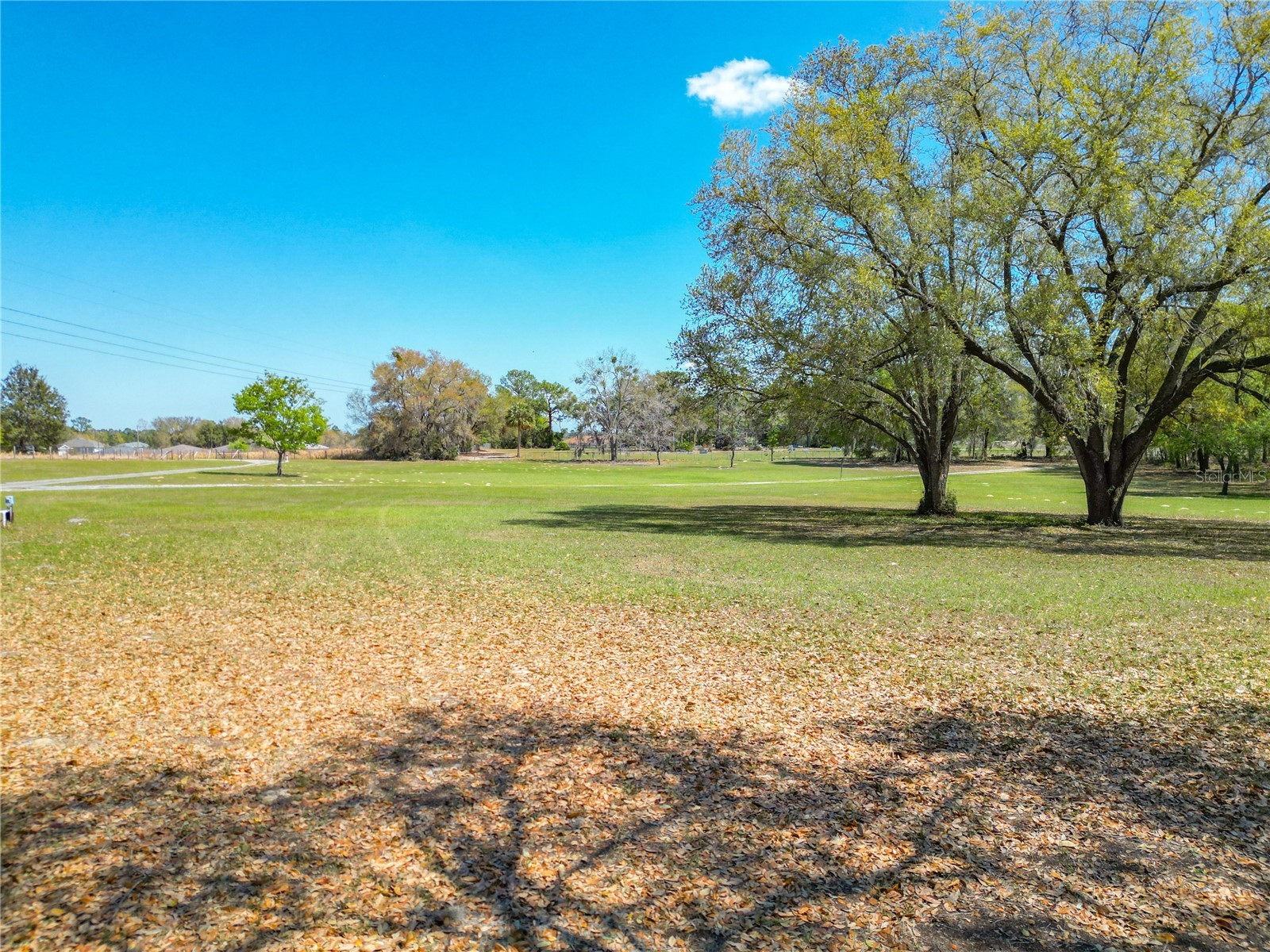 295 Locust Pass Ocala FL 34472 OM719528 image41