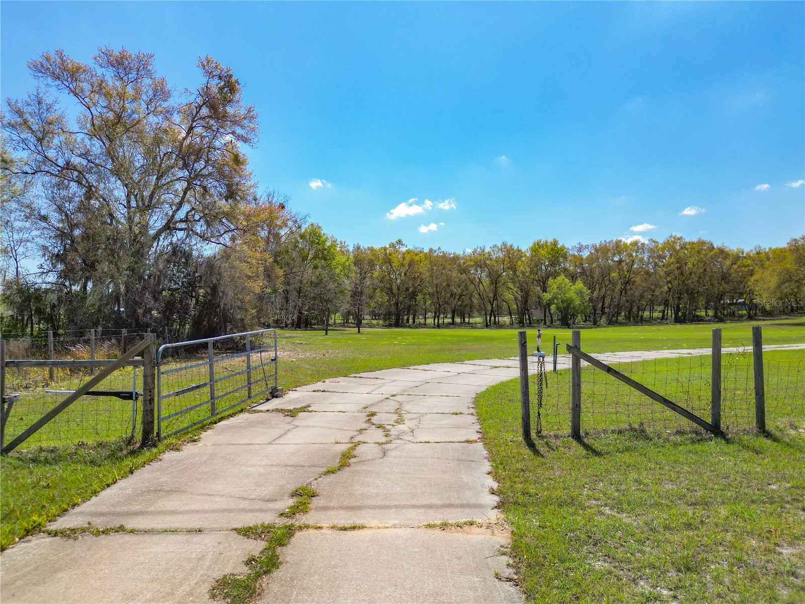 295 Locust Pass Ocala FL 34472 OM719528 image58