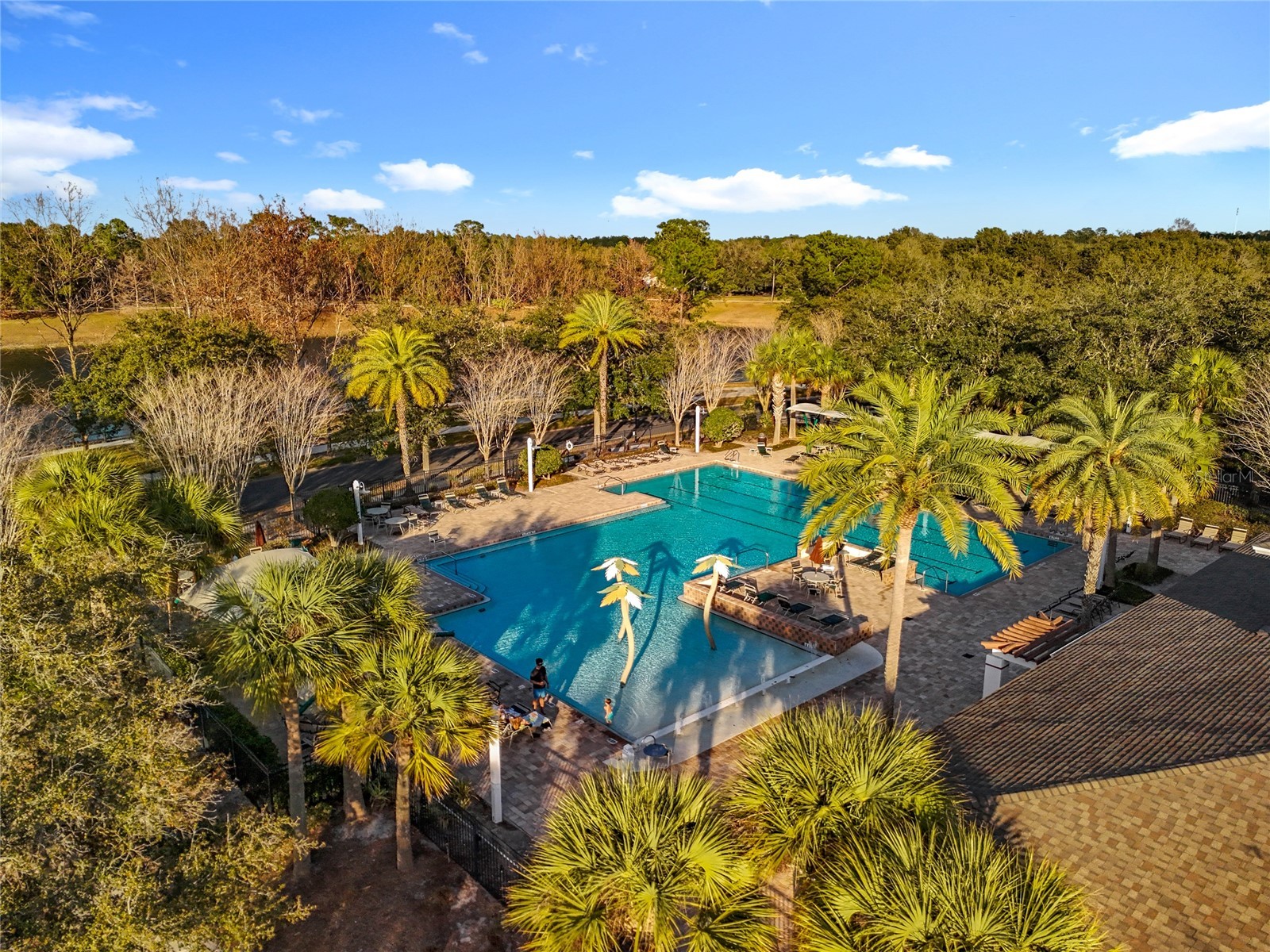 295 Northcote Court Deland FL 32724 O6376585 image73