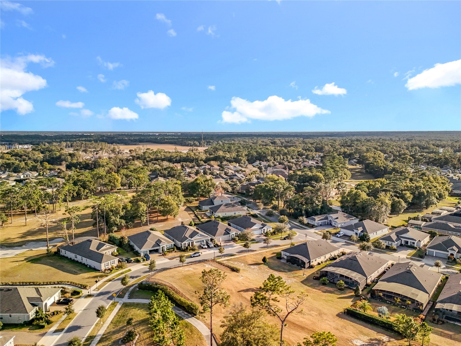 295 Northcote Court Deland FL 32724 O6376585 image8