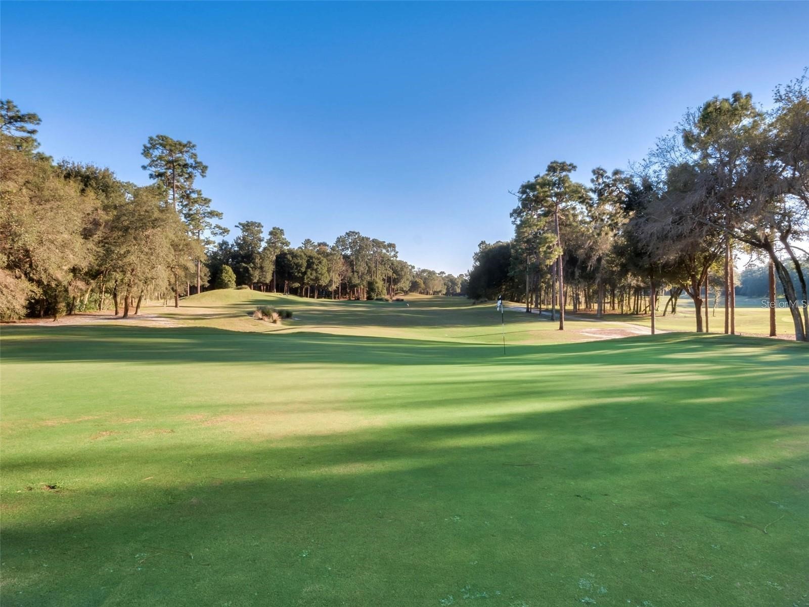 295 Northcote Court Deland FL 32724 O6376585 image89