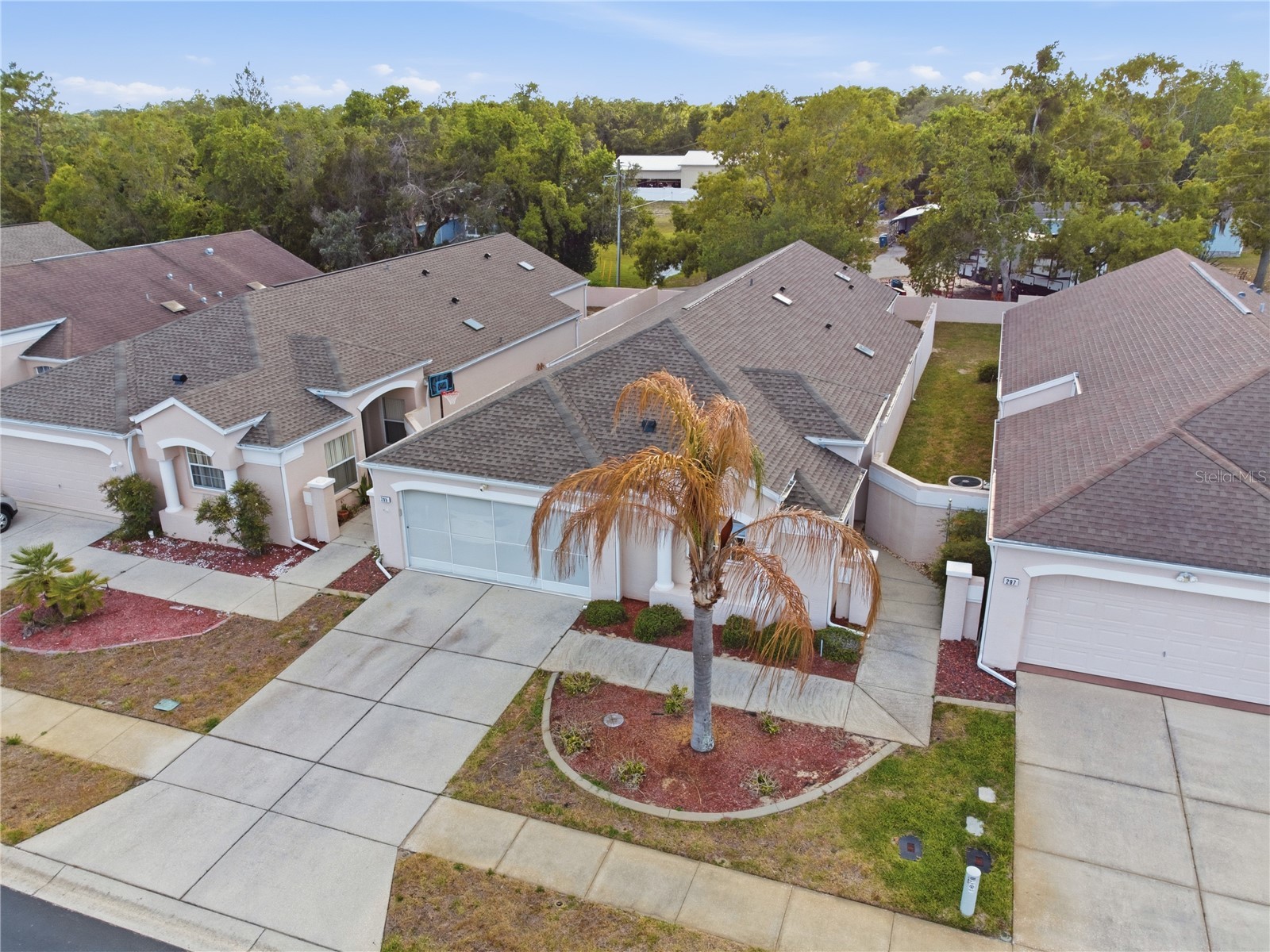 295 Royal Palm Way Spring Hill FL 34608 TB8503412 image41
