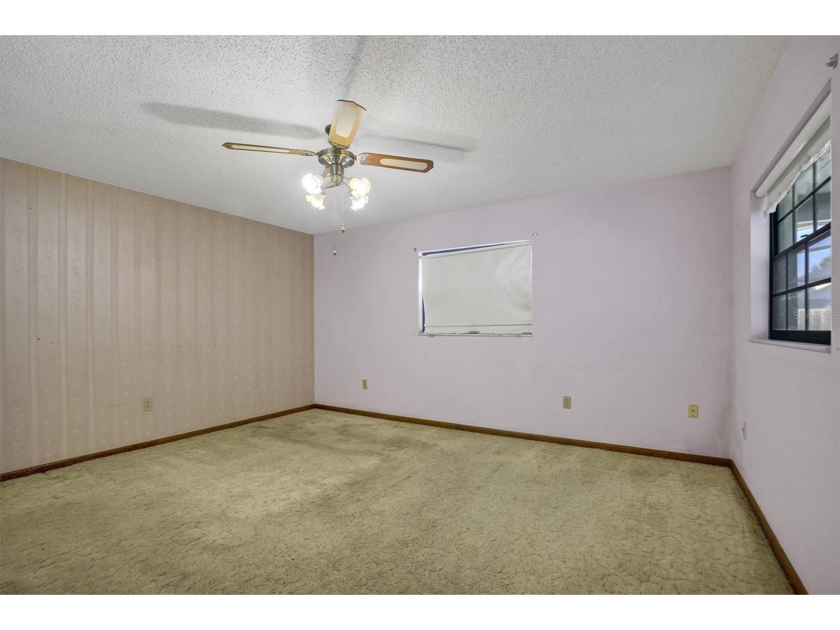 295 S Glen Avenue Lake Alfred FL 33850 P4937692 image29