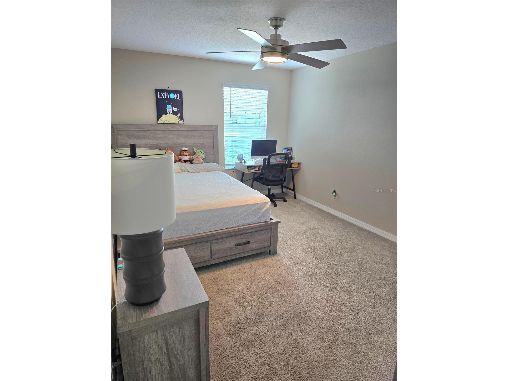 2950 Adams Cross Drive Zephyrhills FL 33540 TB8516053 image24
