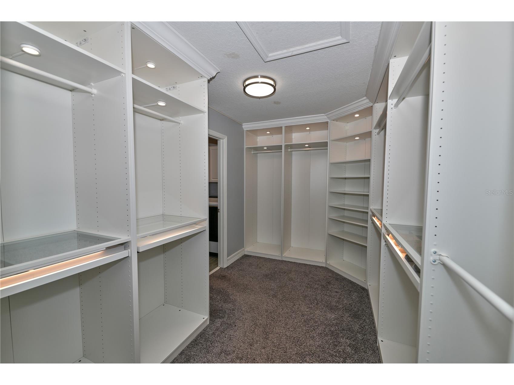 2950 Bushmead Court Ocoee FL 34761 O6395517 image30