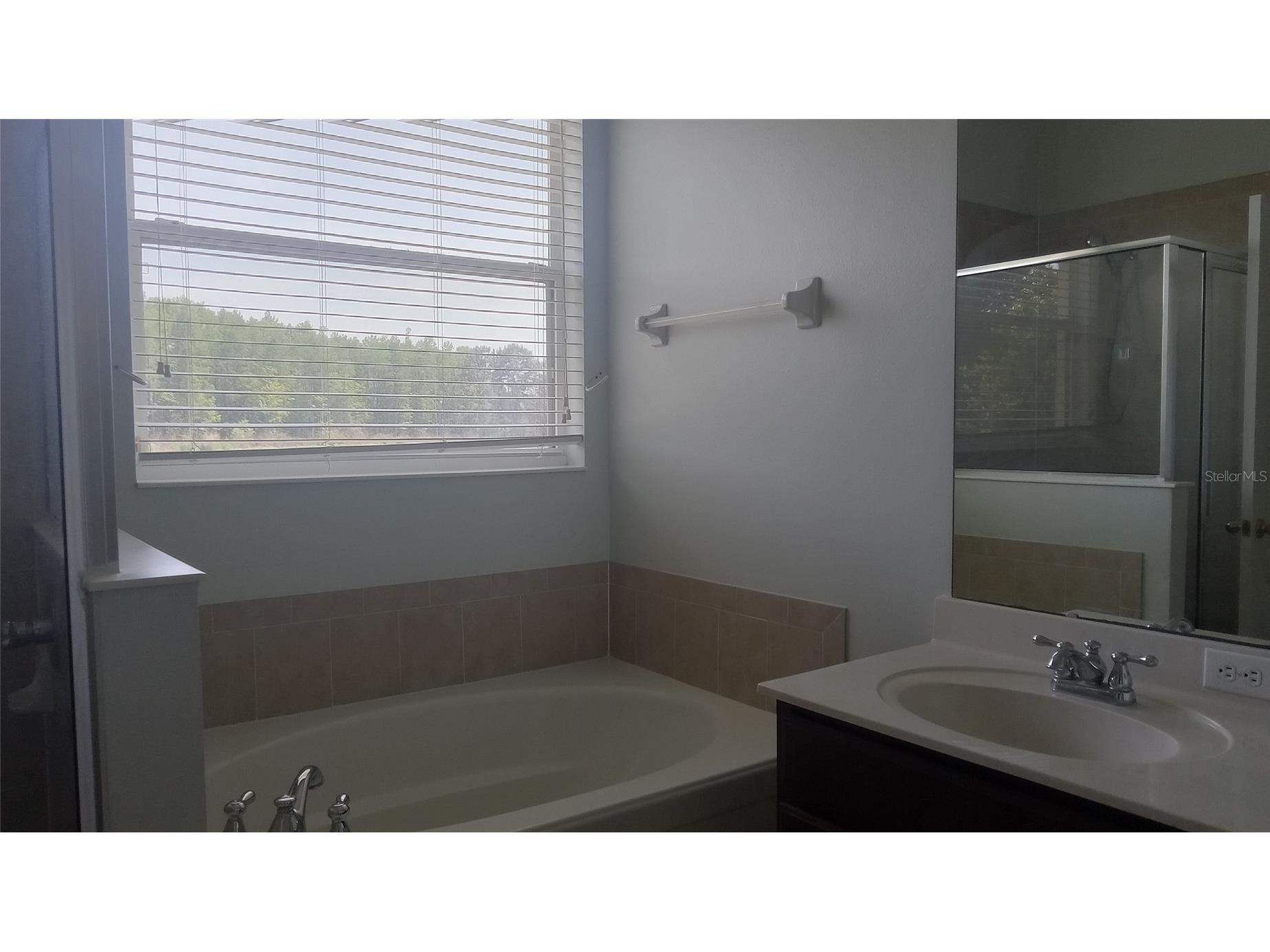 2950 Marshfield Preserve Way Kissimmee FL 34746 O6406885 image10