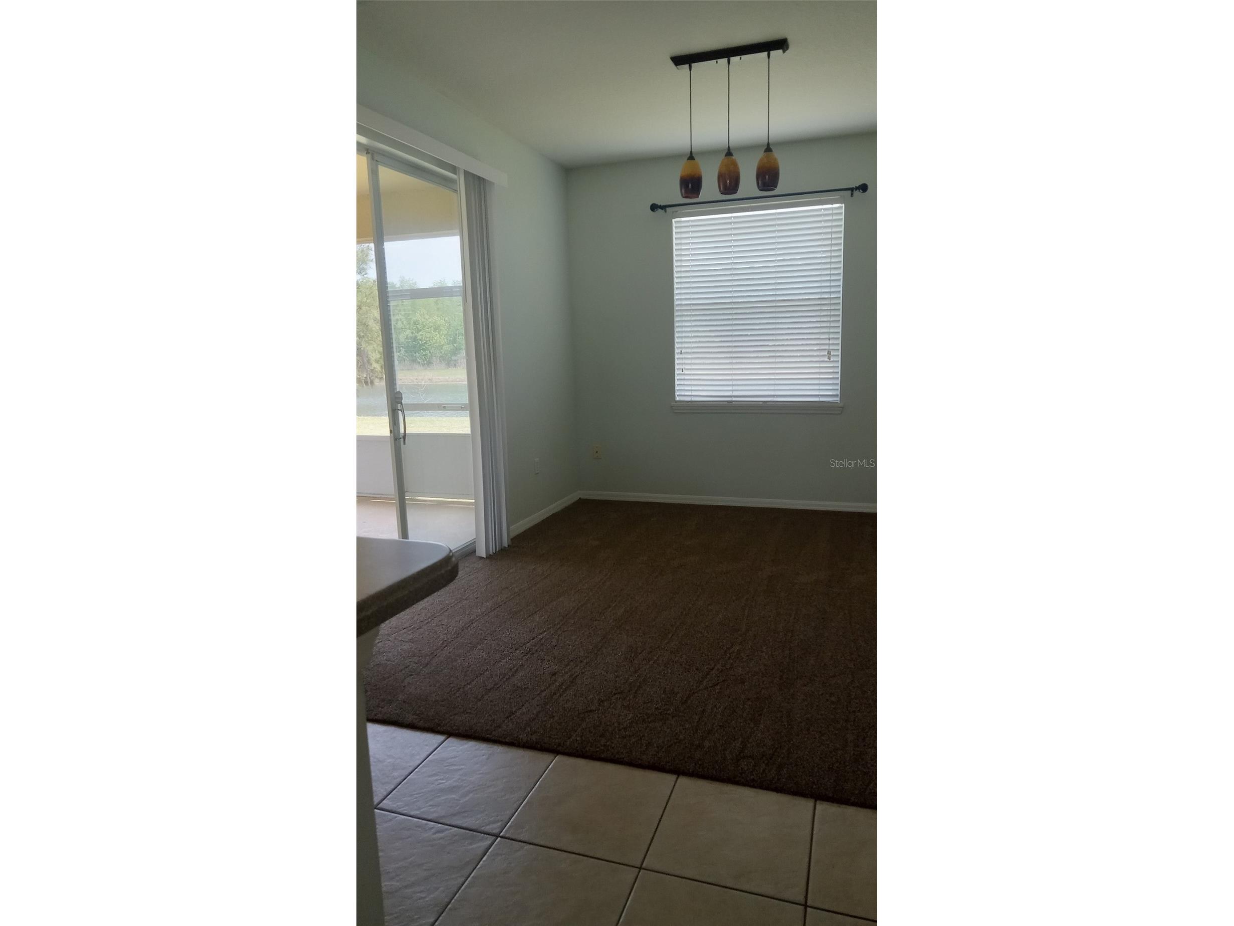 2950 Marshfield Preserve Way Kissimmee FL 34746 O6406885 image14