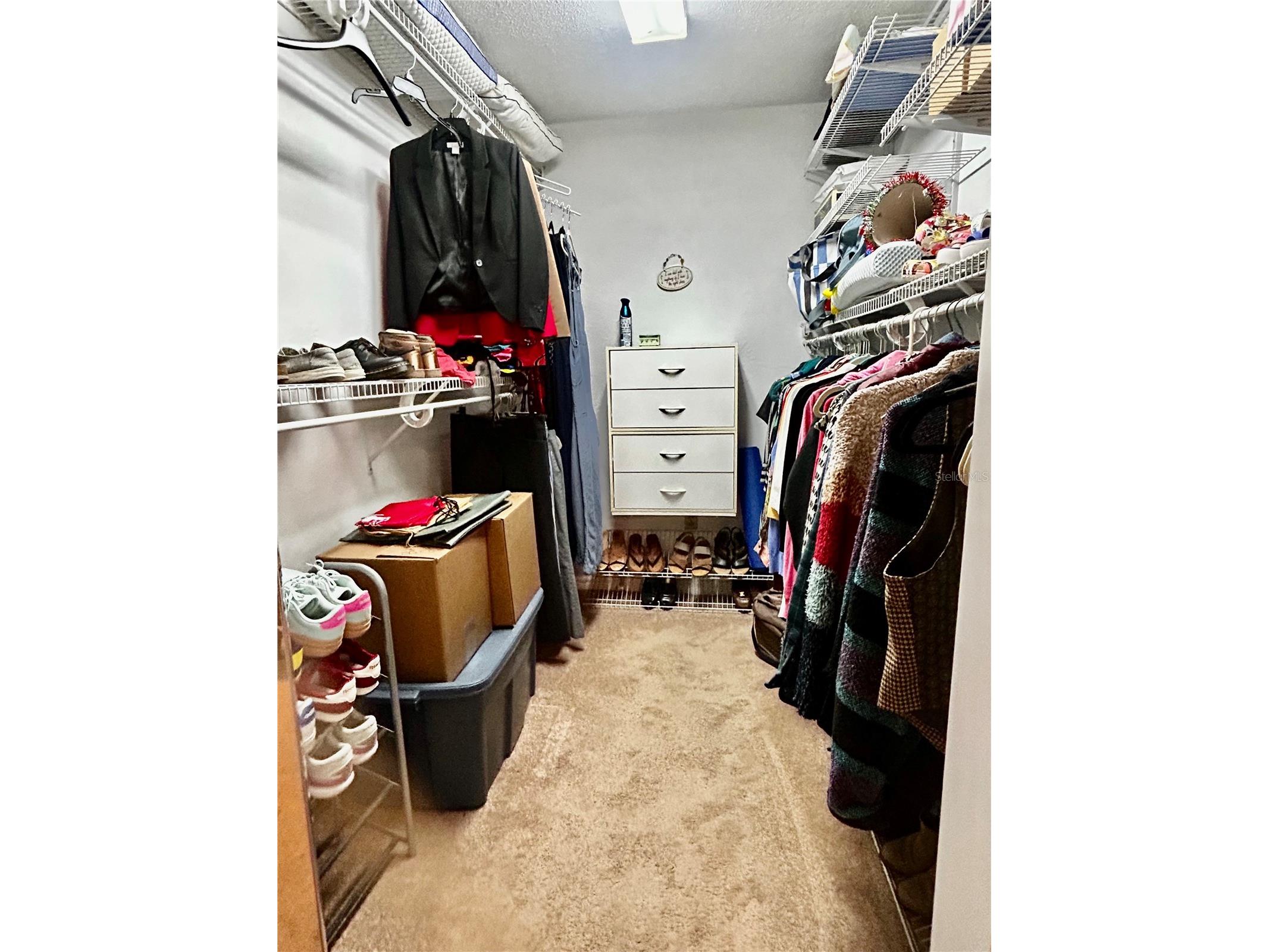 2950 N Shell Road Deland FL 32720 - CANAL - ST JOHN'S RIVER V4948479 image20
